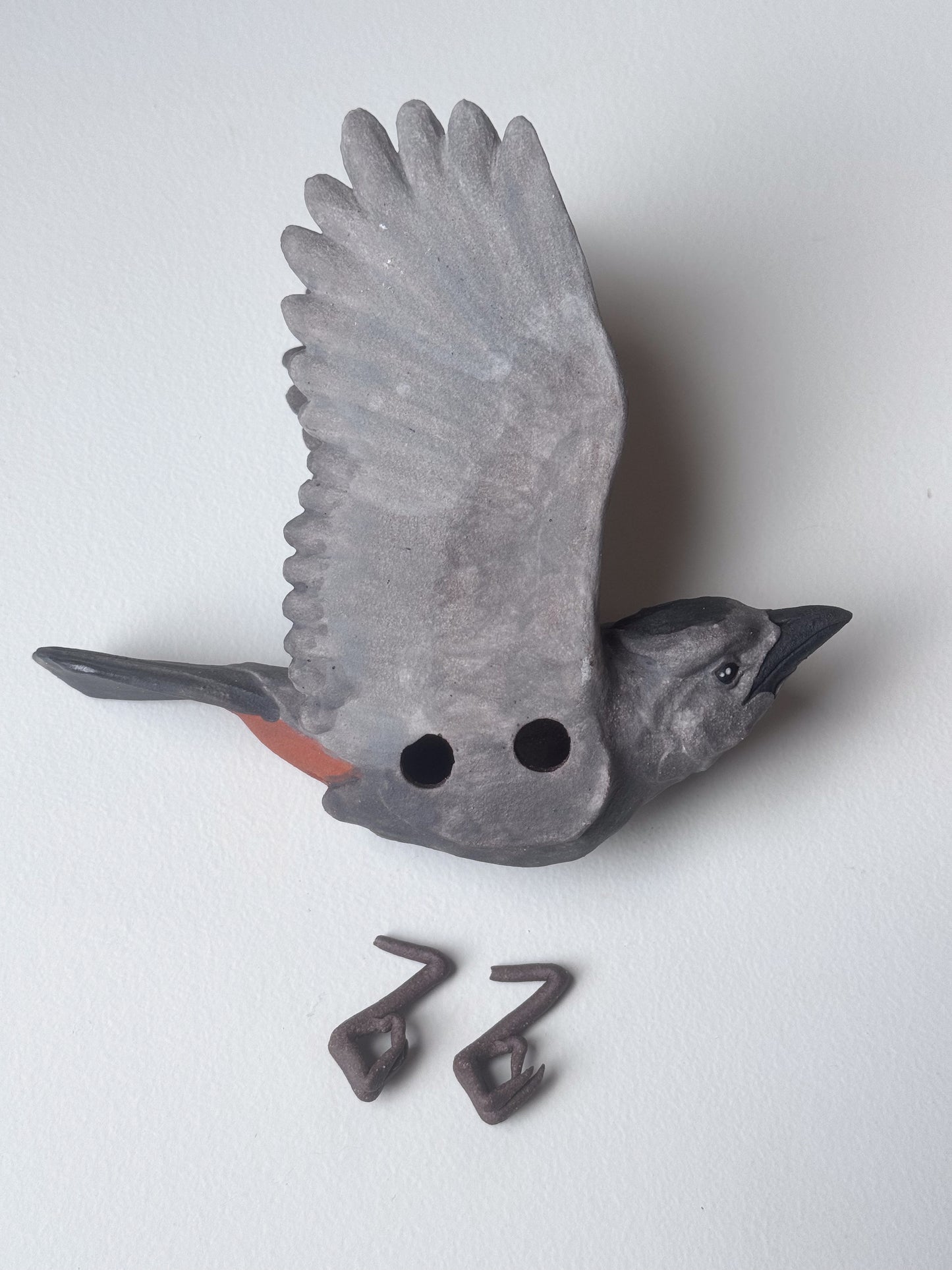 Gray Catbird