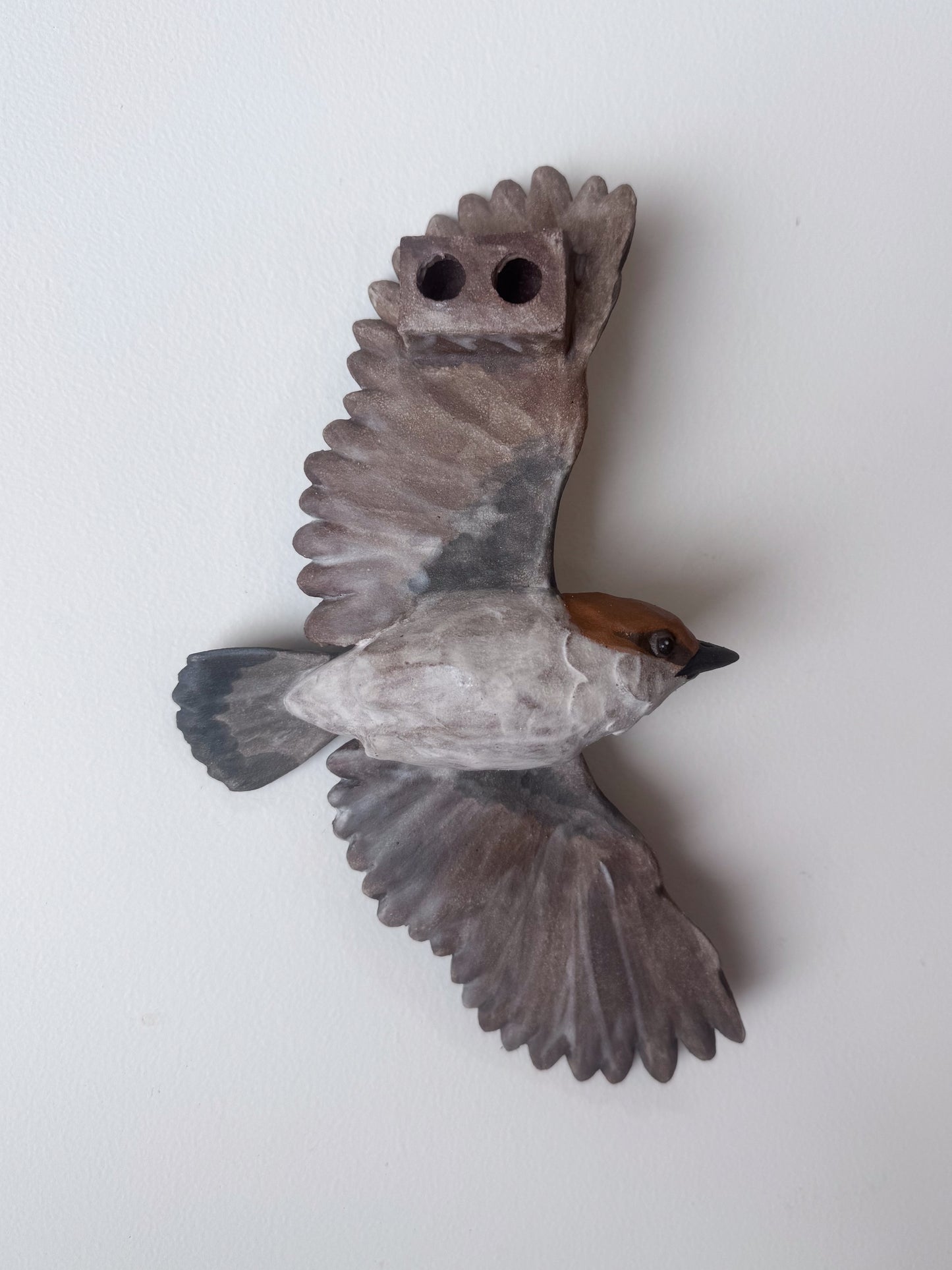 Brown-headed Nuthatch