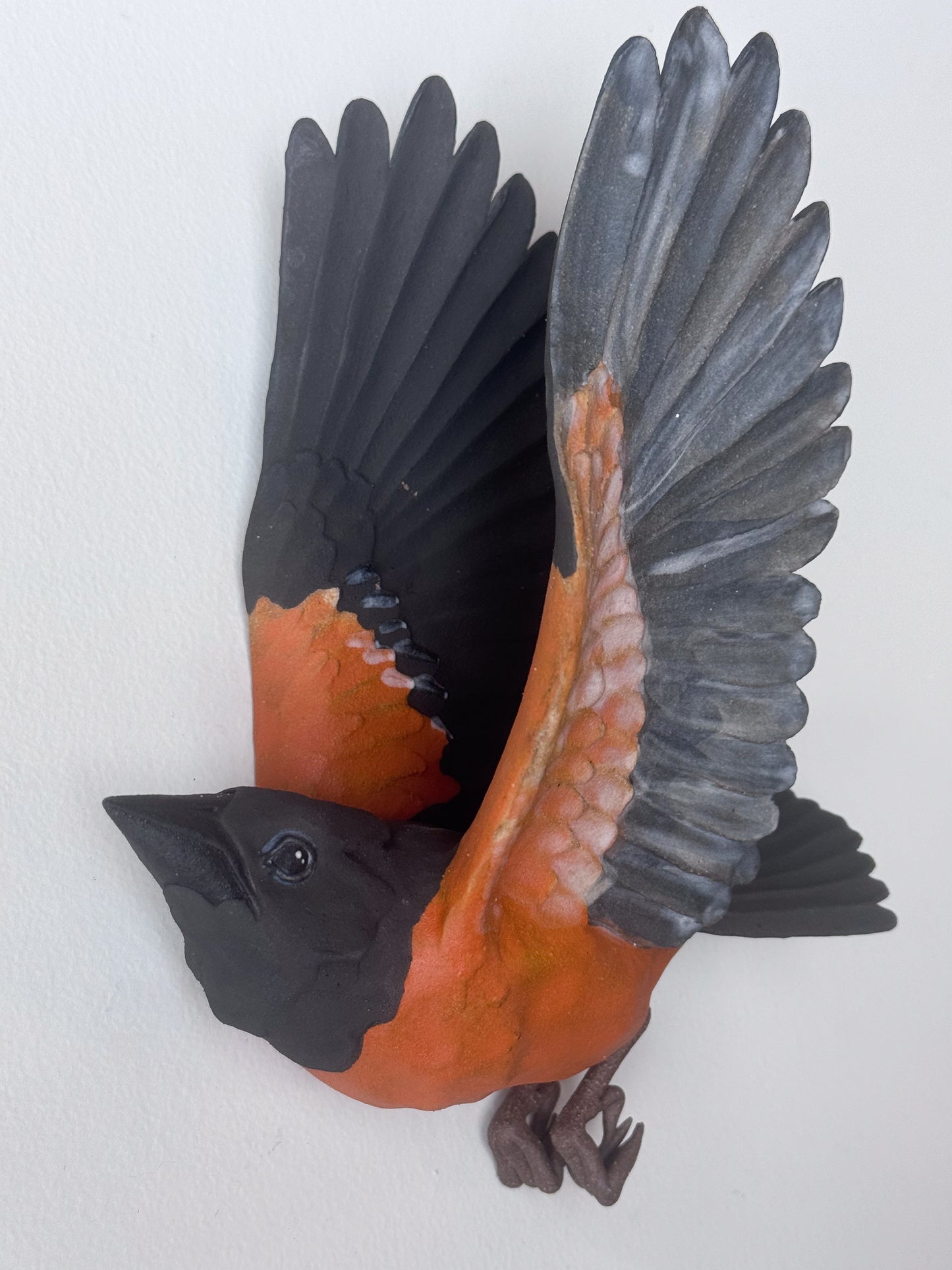 Orchard Oriole