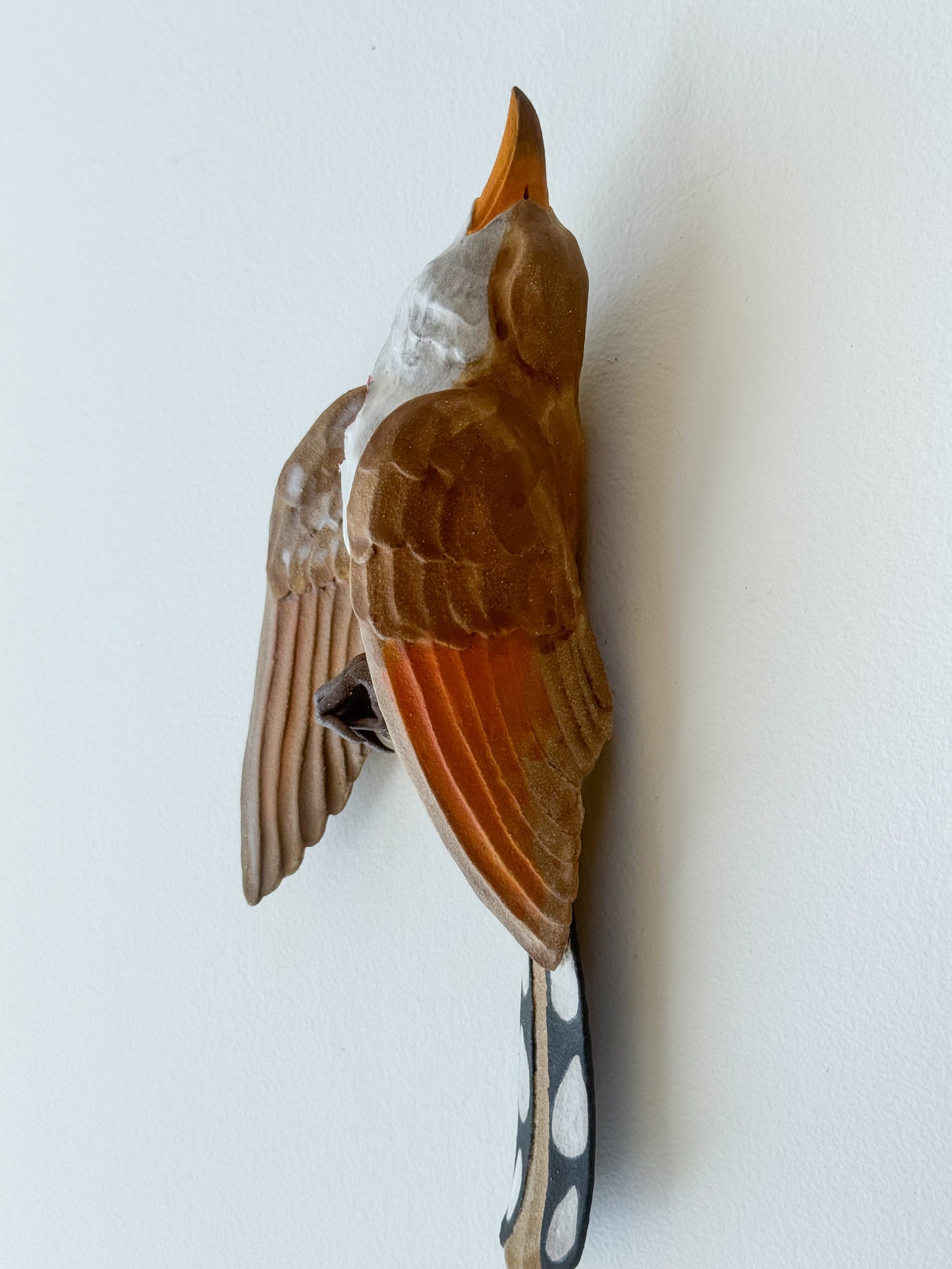Yellow-billed Cuckoo Wall Bud-Vase