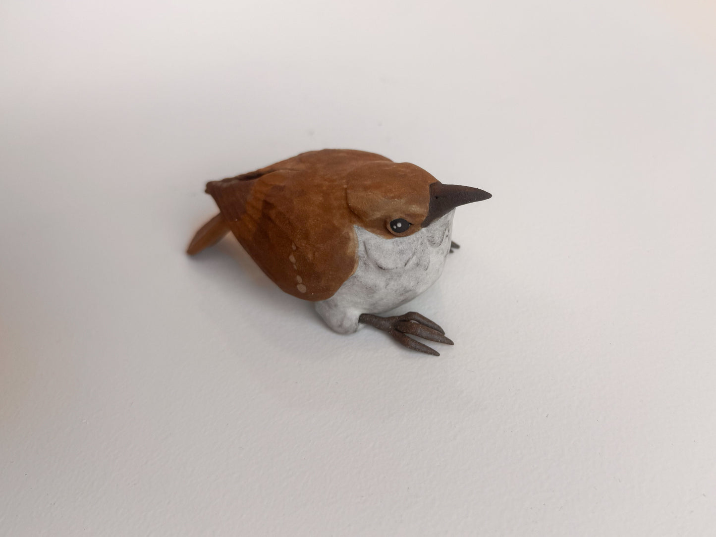 Brown Creeper wall climber