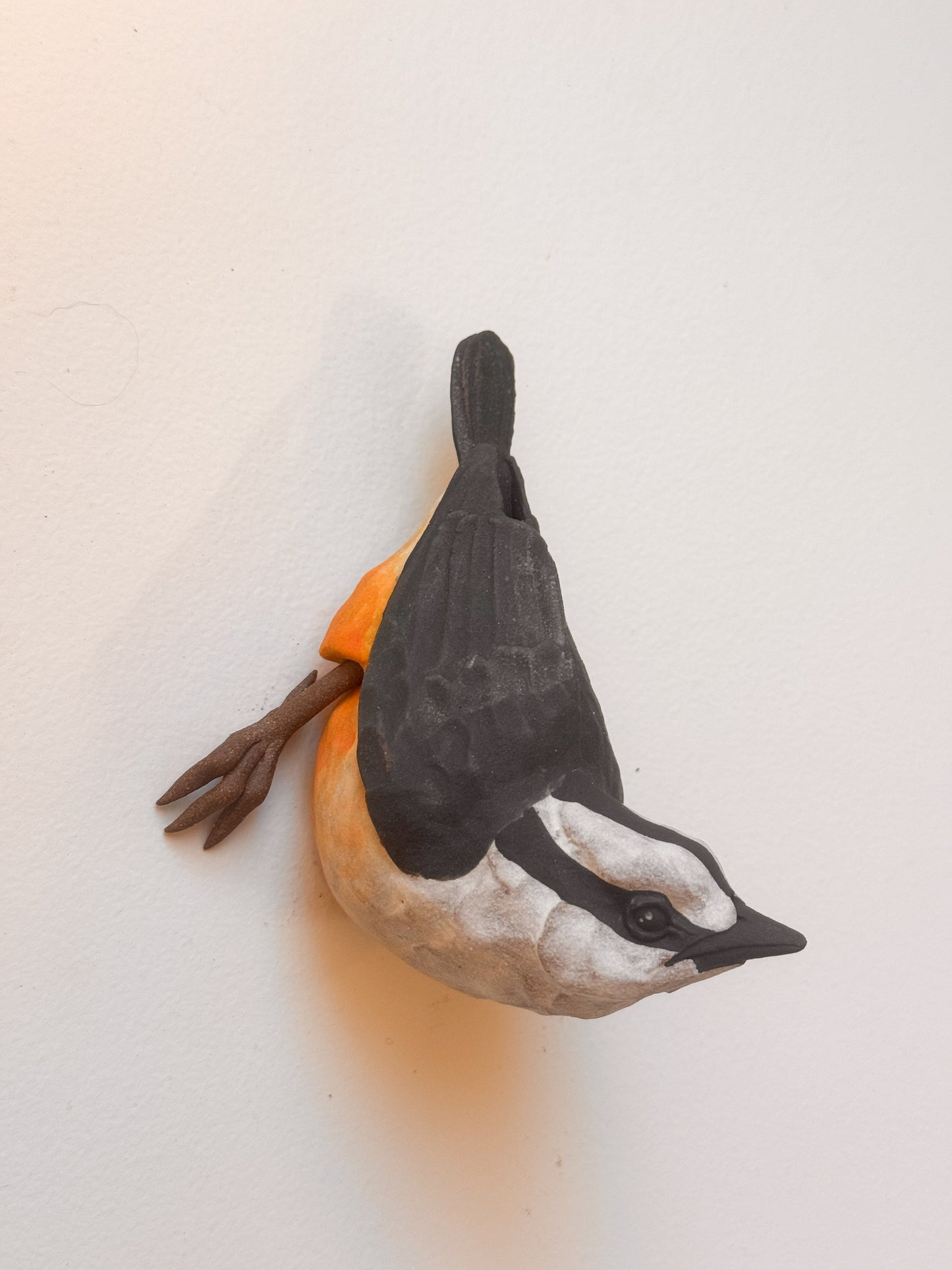 Red-breasted Nuthatch wall climber