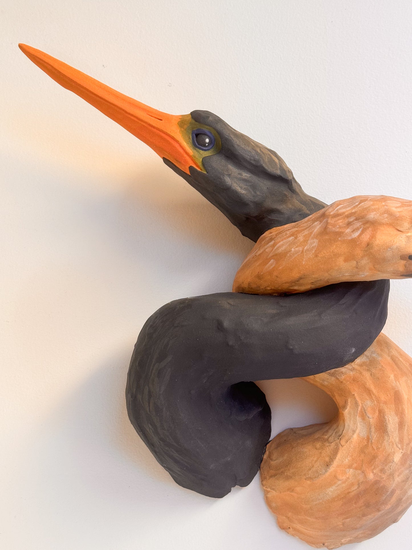 Tangled Anhinga Pair