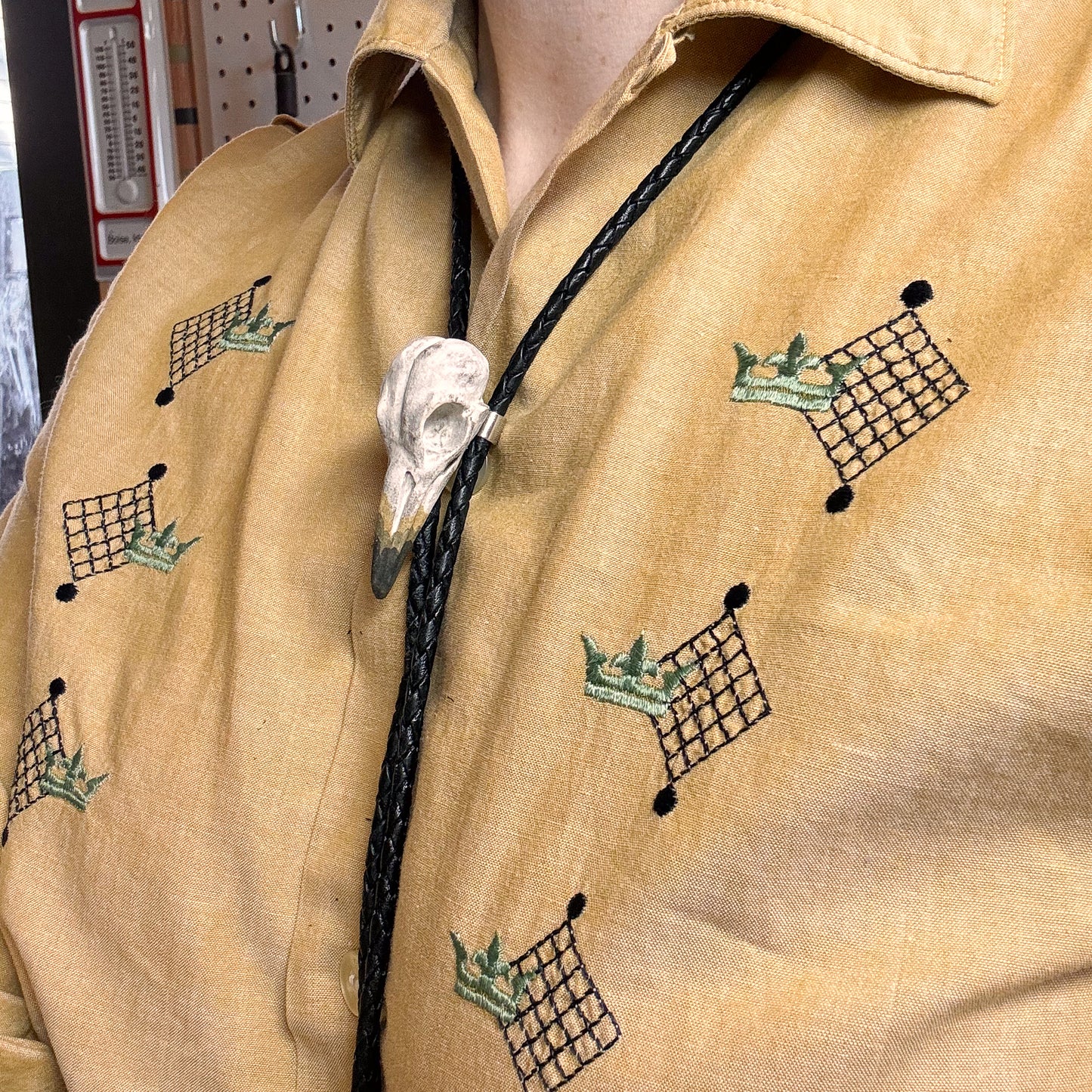 Sandpiper Skull Bolo Tie