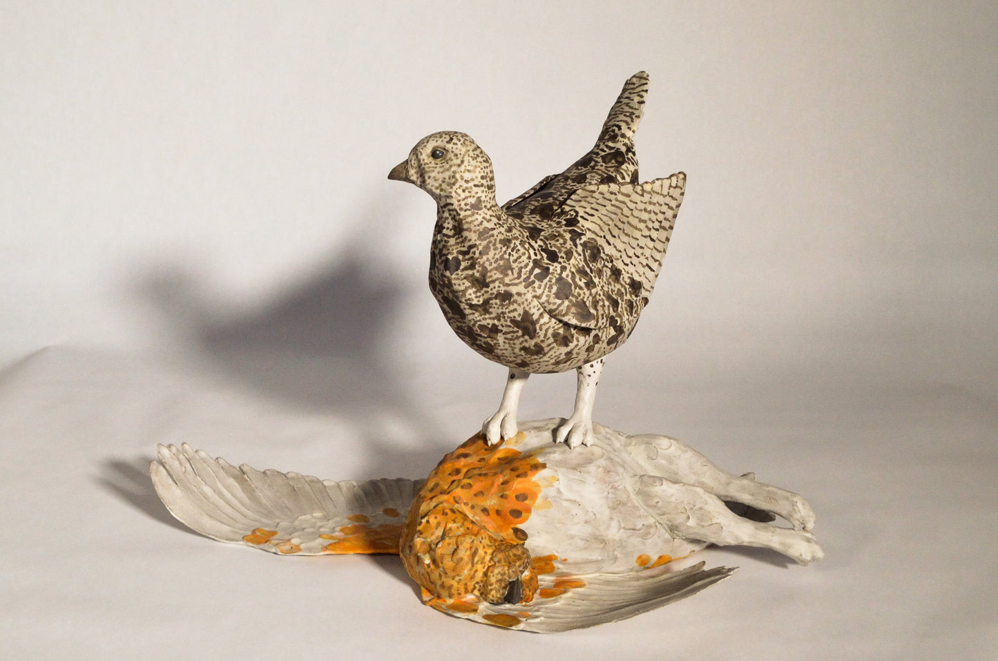 White-Tailed Ptarmigan - Lost History of Women