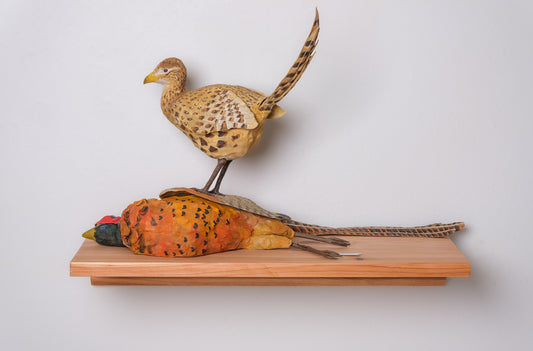 Ring-Necked Pheasant - Lost History of Women