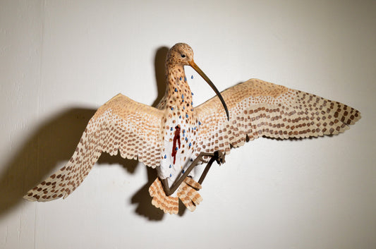 Long-billed Curlew (for At Will Designs ONLY)