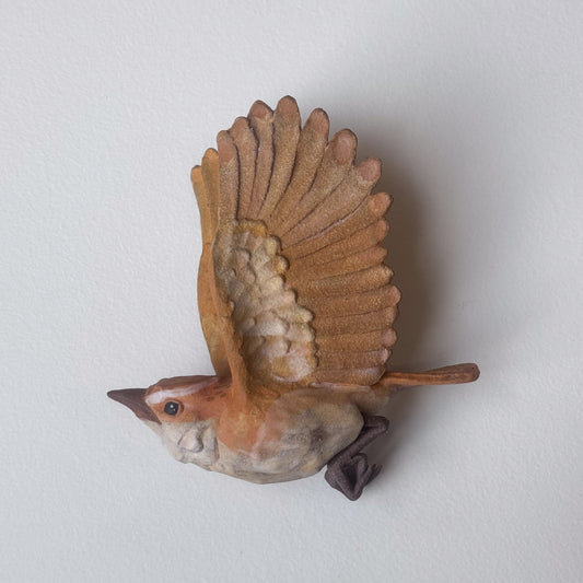 Carolina Wren