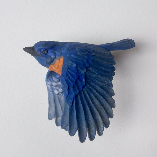 Eastern Bluebird