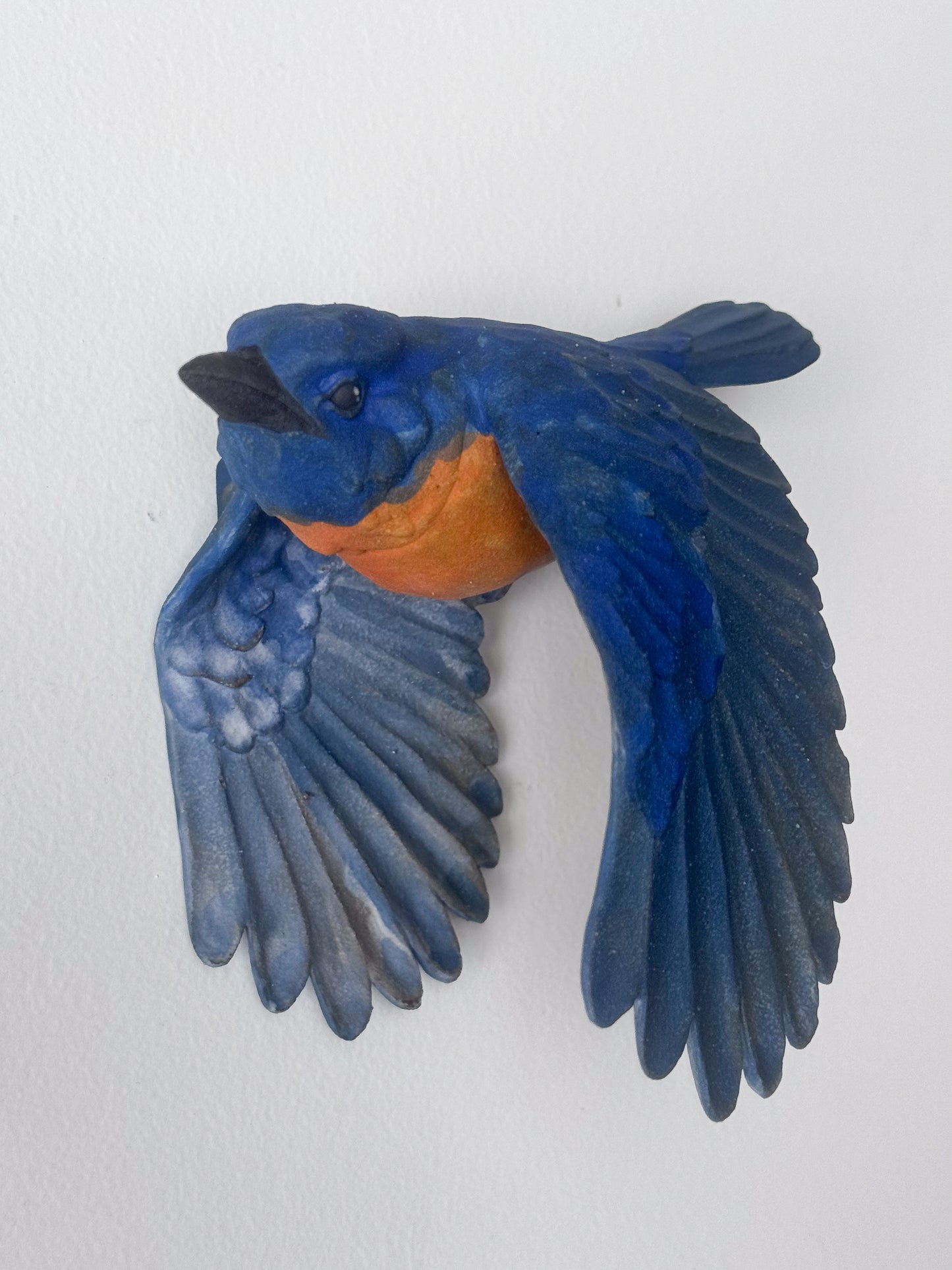 Eastern Bluebird