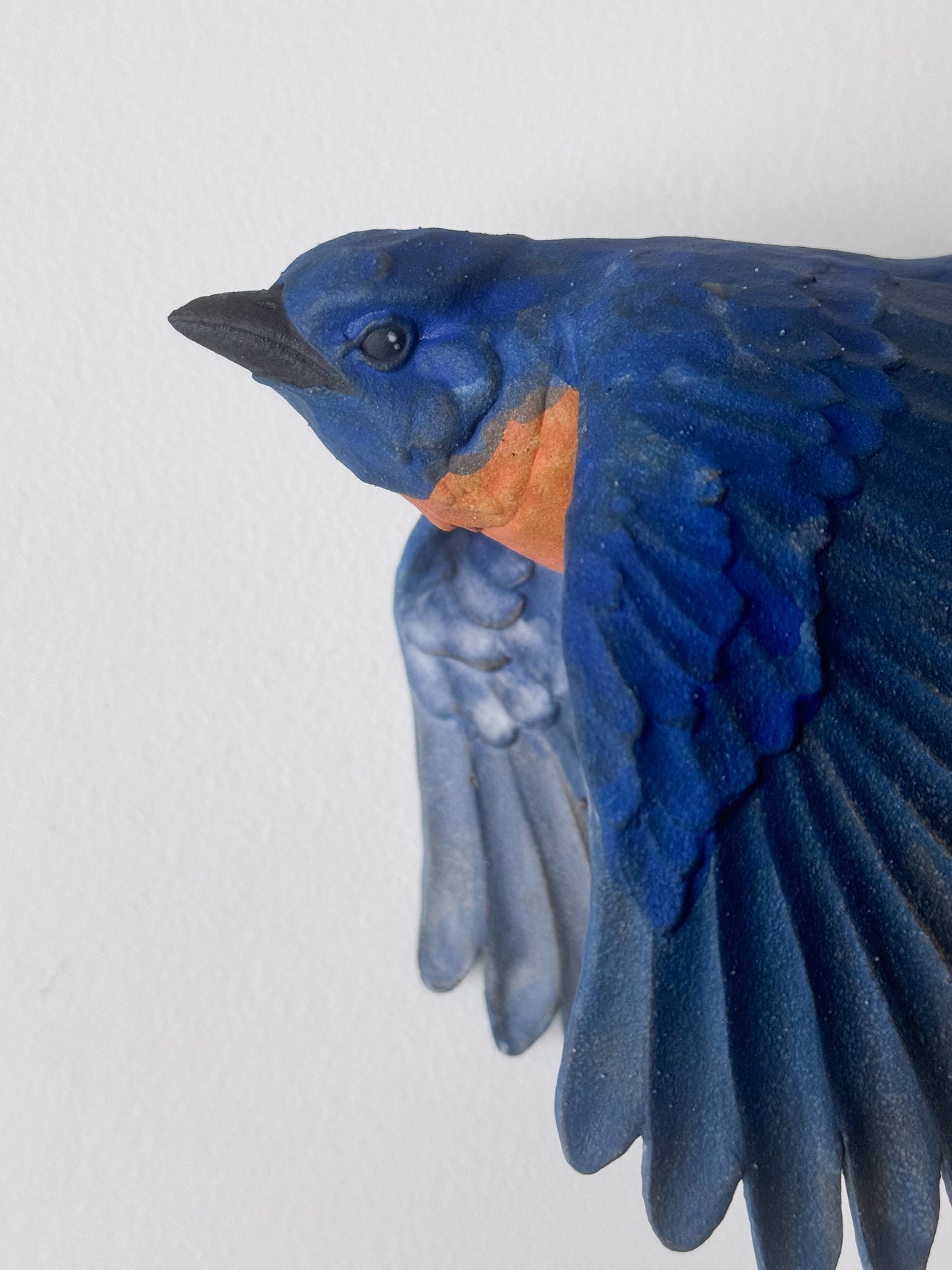 Eastern Bluebird