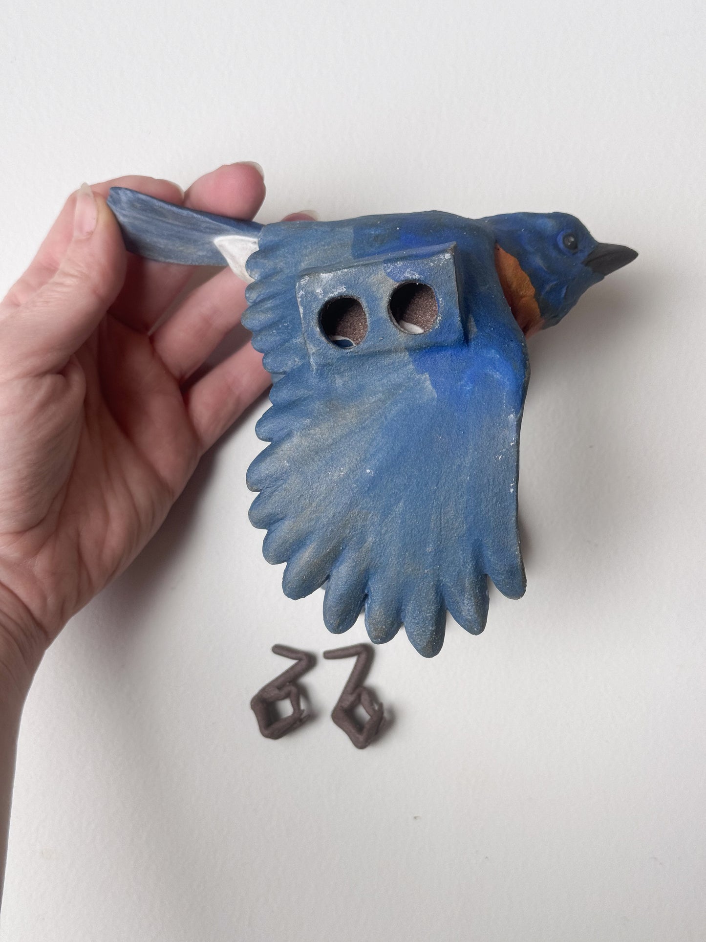 Eastern Bluebird