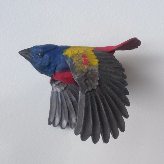 Painted Bunting