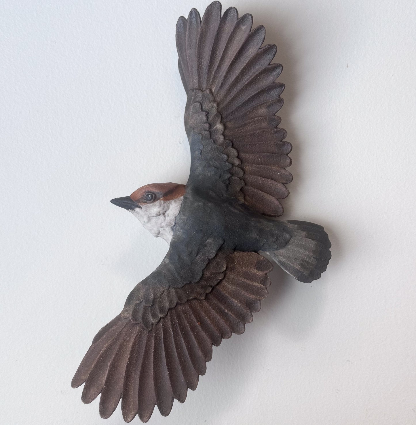 Brown-headed Nuthatch