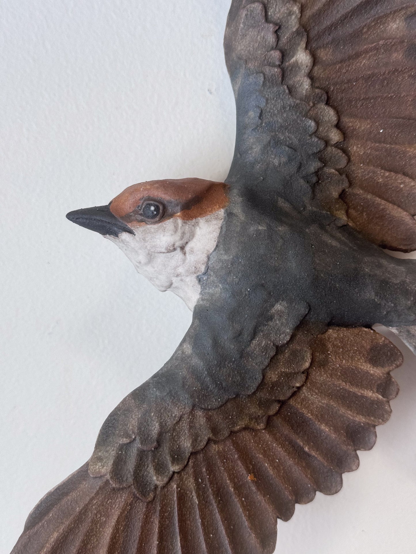 Brown-headed Nuthatch