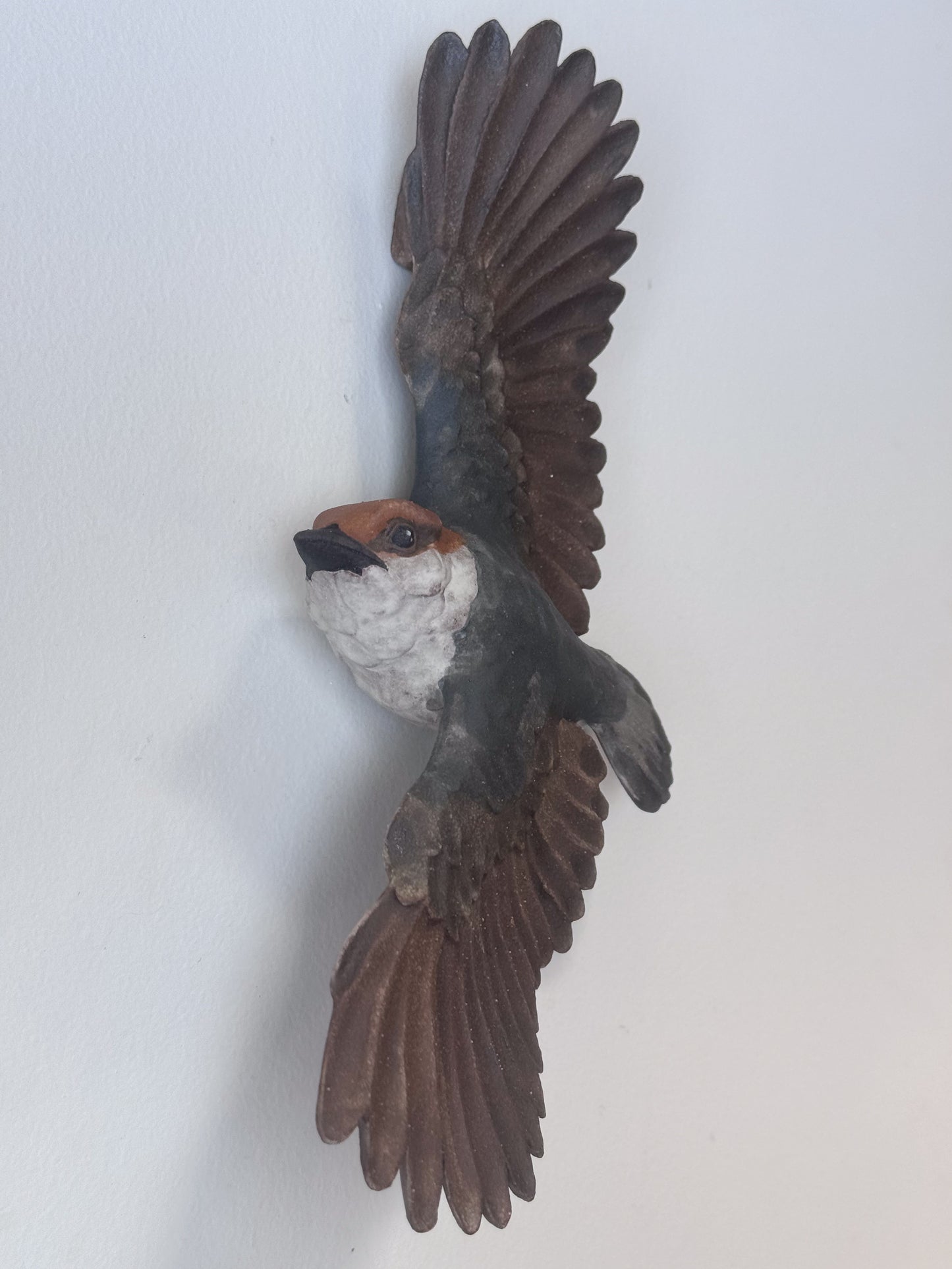 Brown-headed Nuthatch