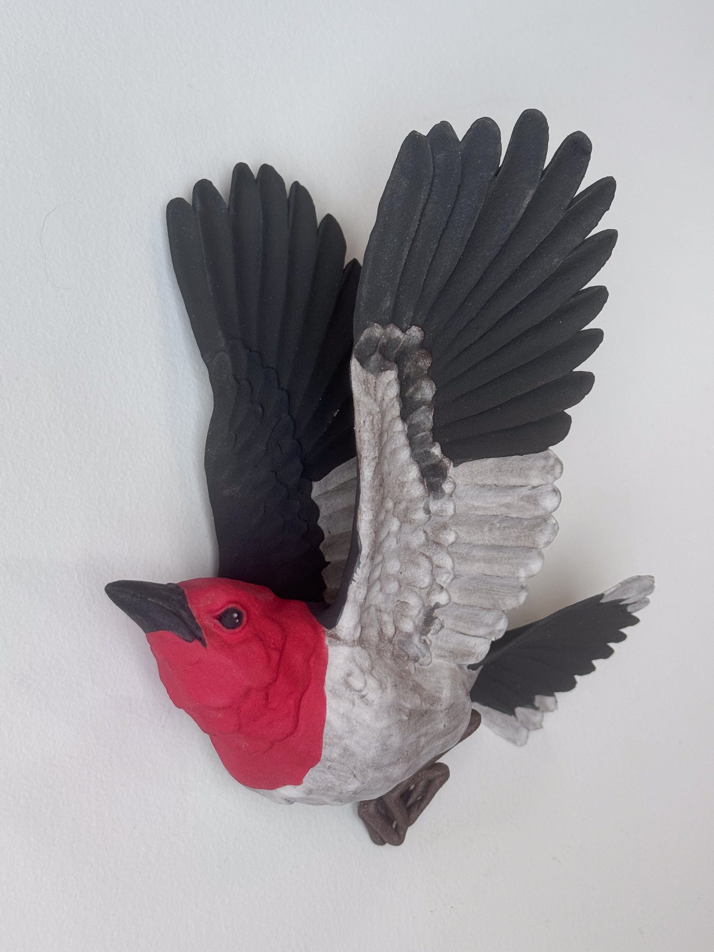 Red-headed Woodpecker