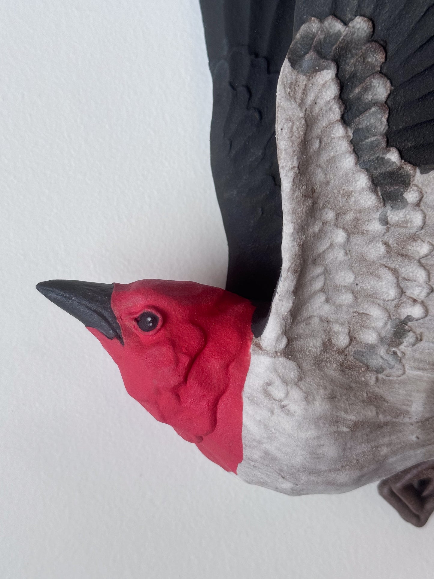 Red-headed Woodpecker