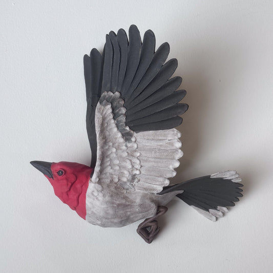 Red-headed Woodpecker