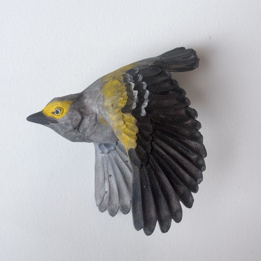 White-eyed Vireo