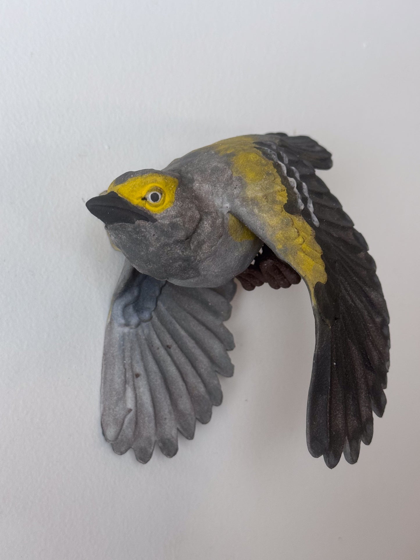 White-eyed Vireo