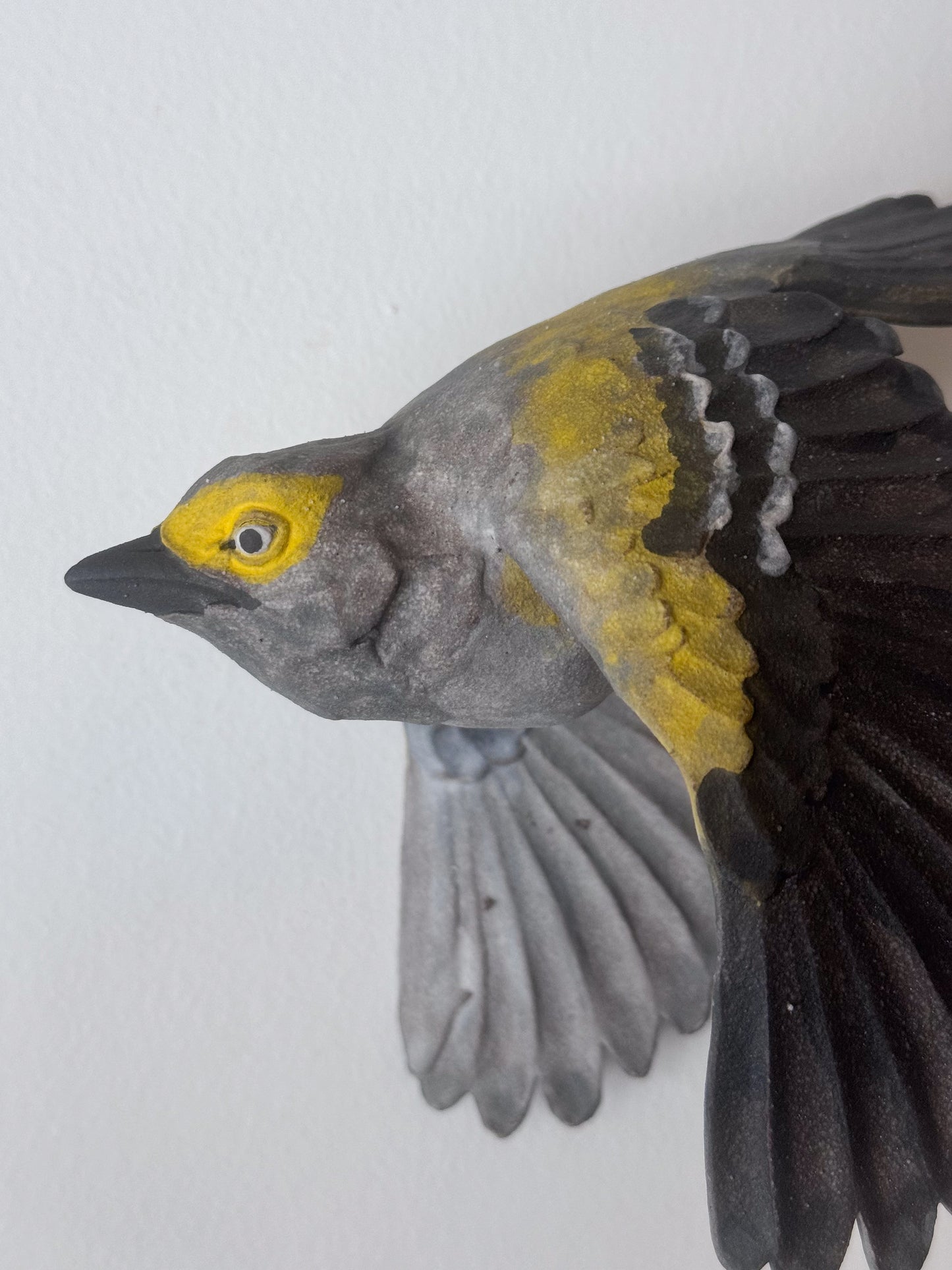 White-eyed Vireo
