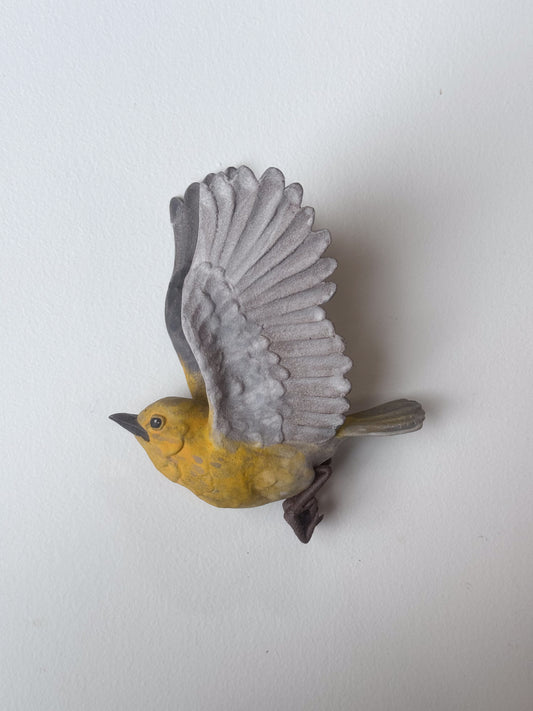 Pine Warbler