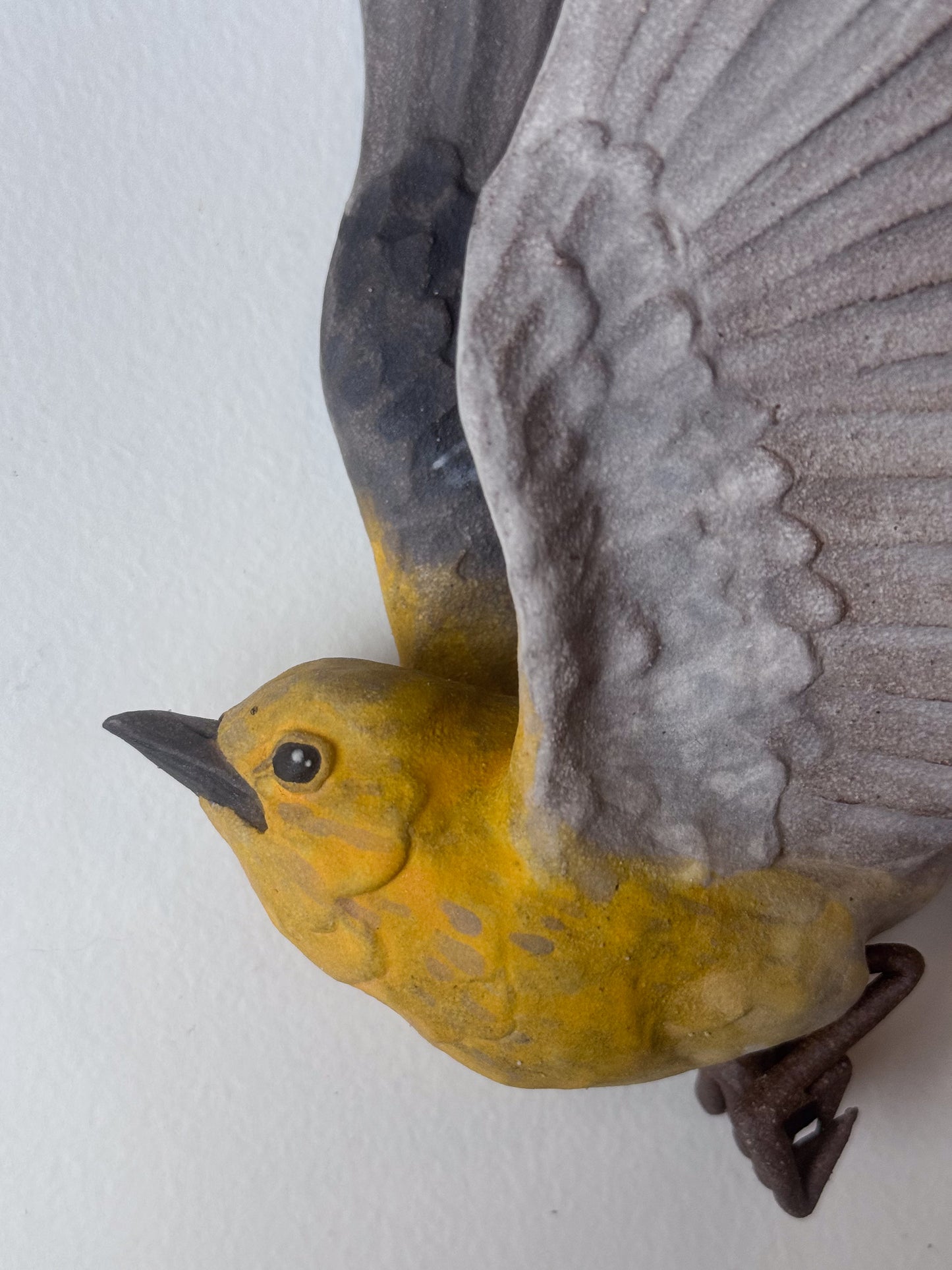 Pine Warbler