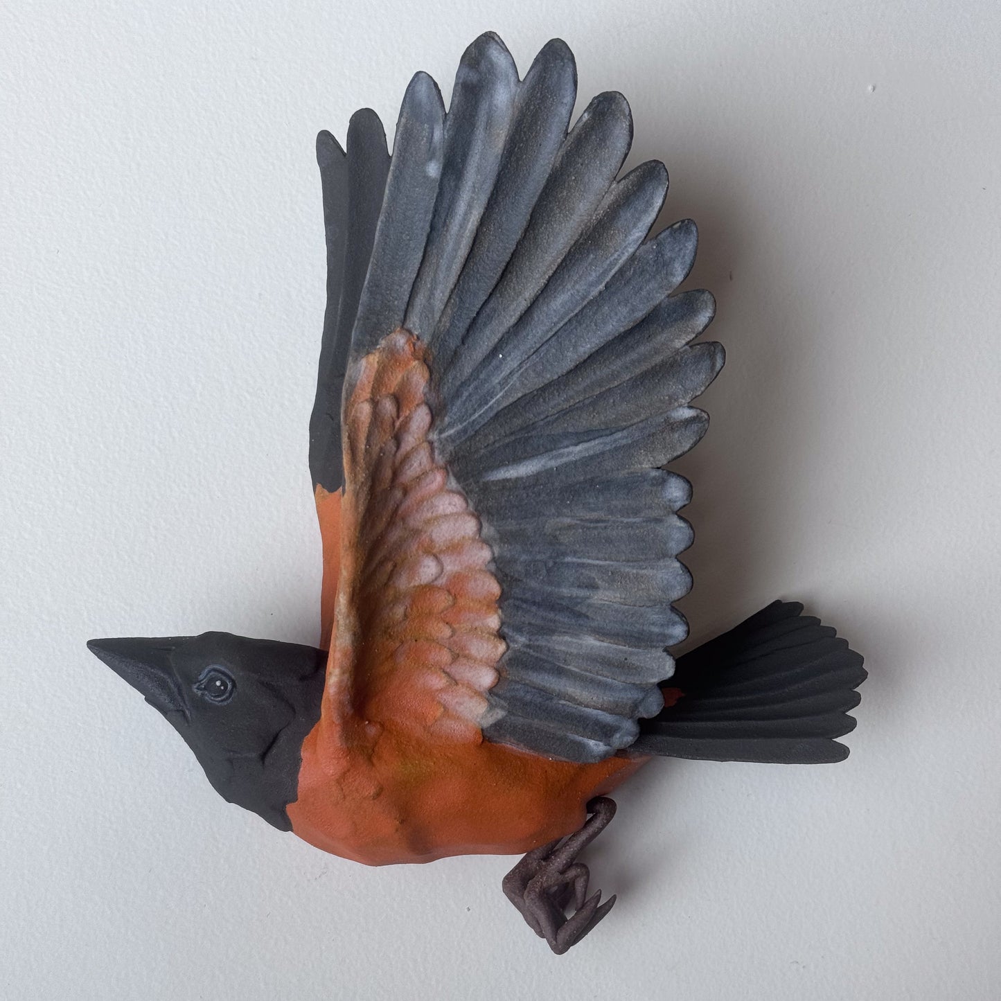 Orchard Oriole