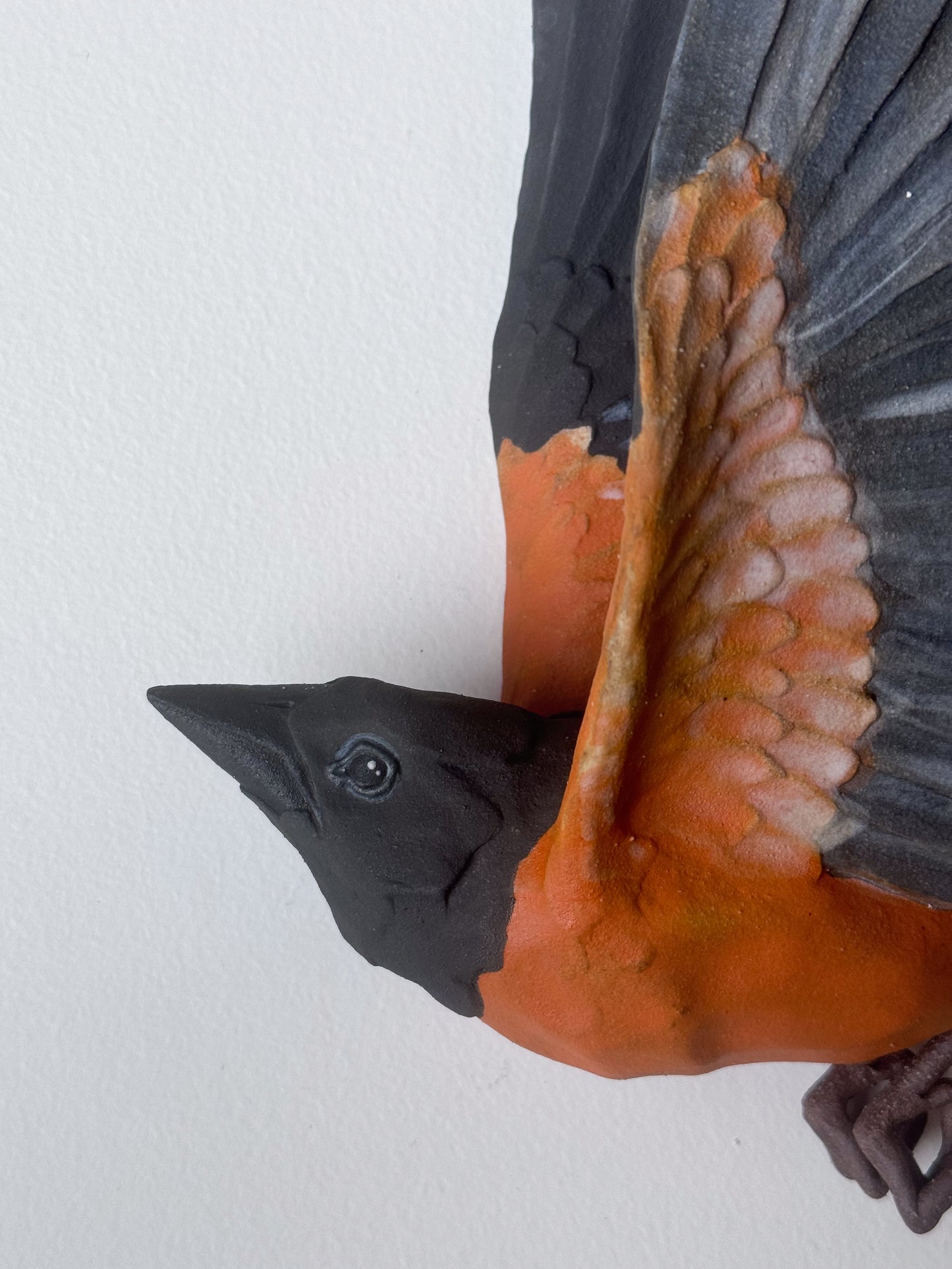 Orchard Oriole