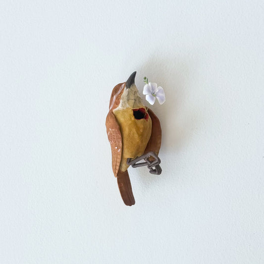 Carolina Wren Wall Bud-Vase