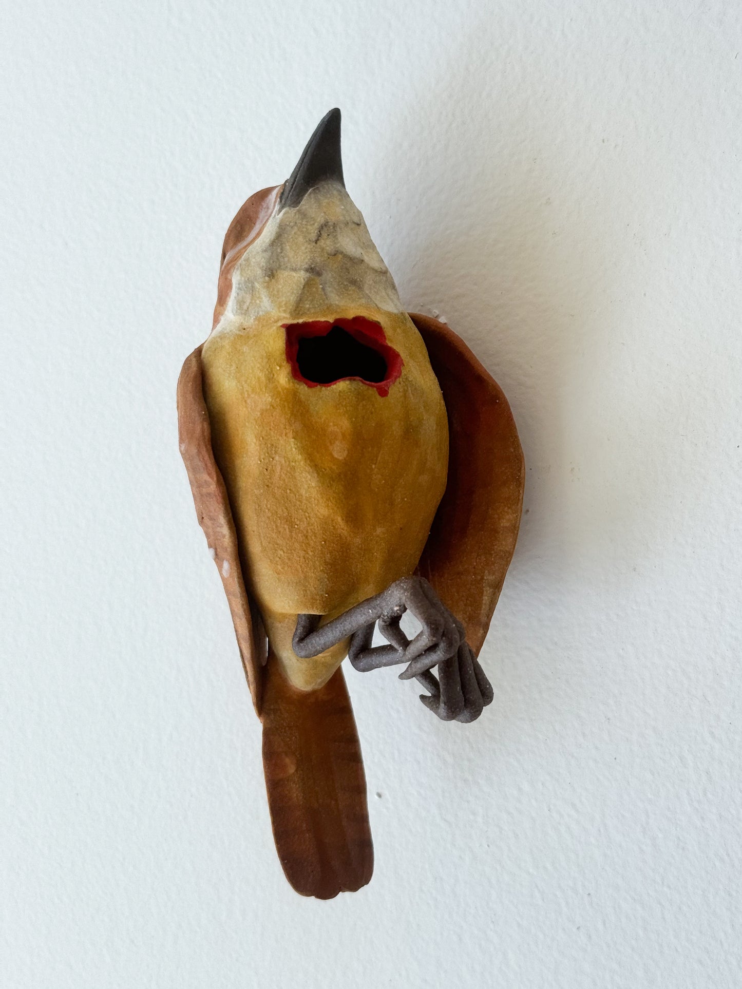 Carolina Wren Wall Bud-Vase