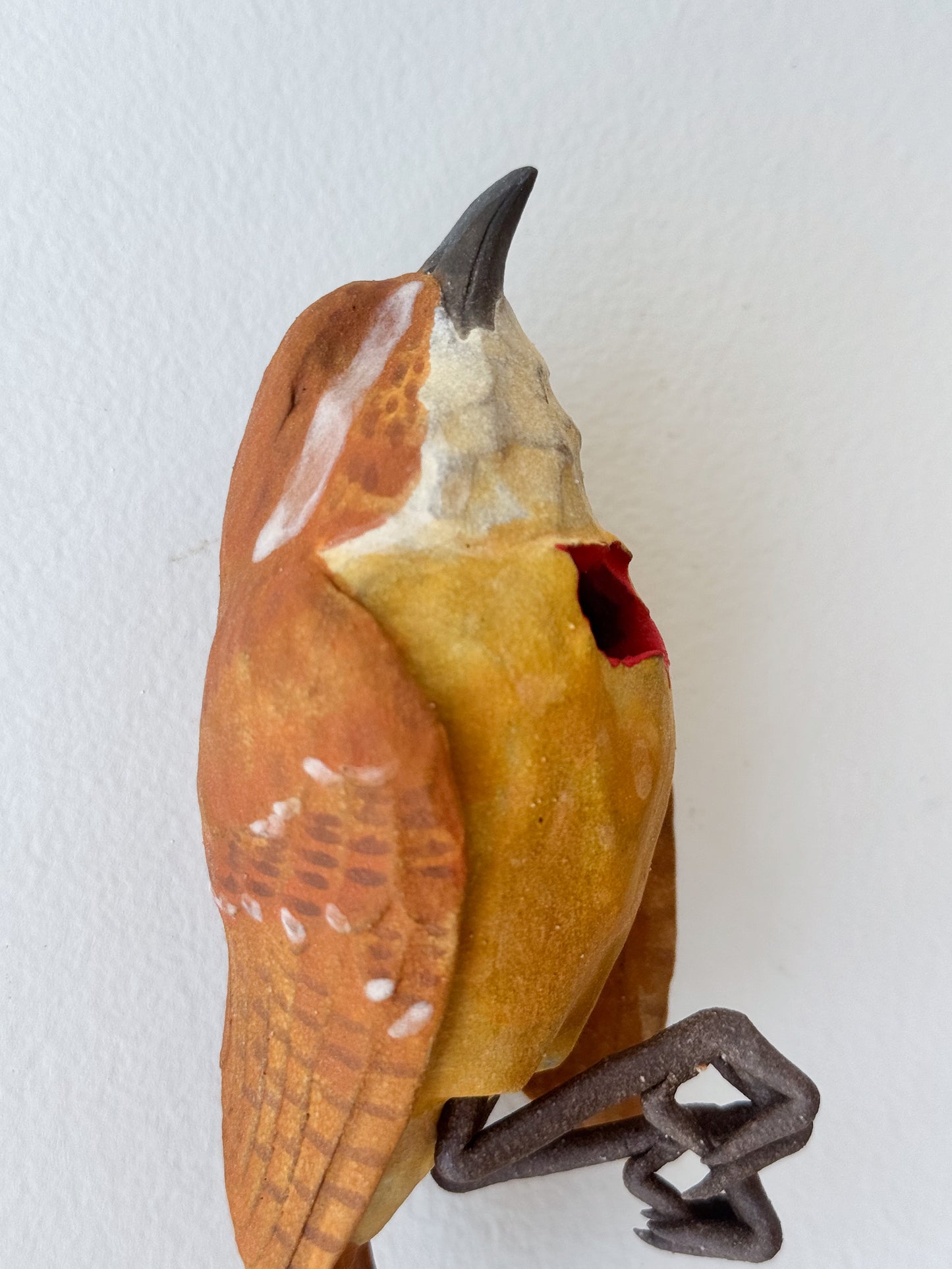 Carolina Wren Wall Bud-Vase