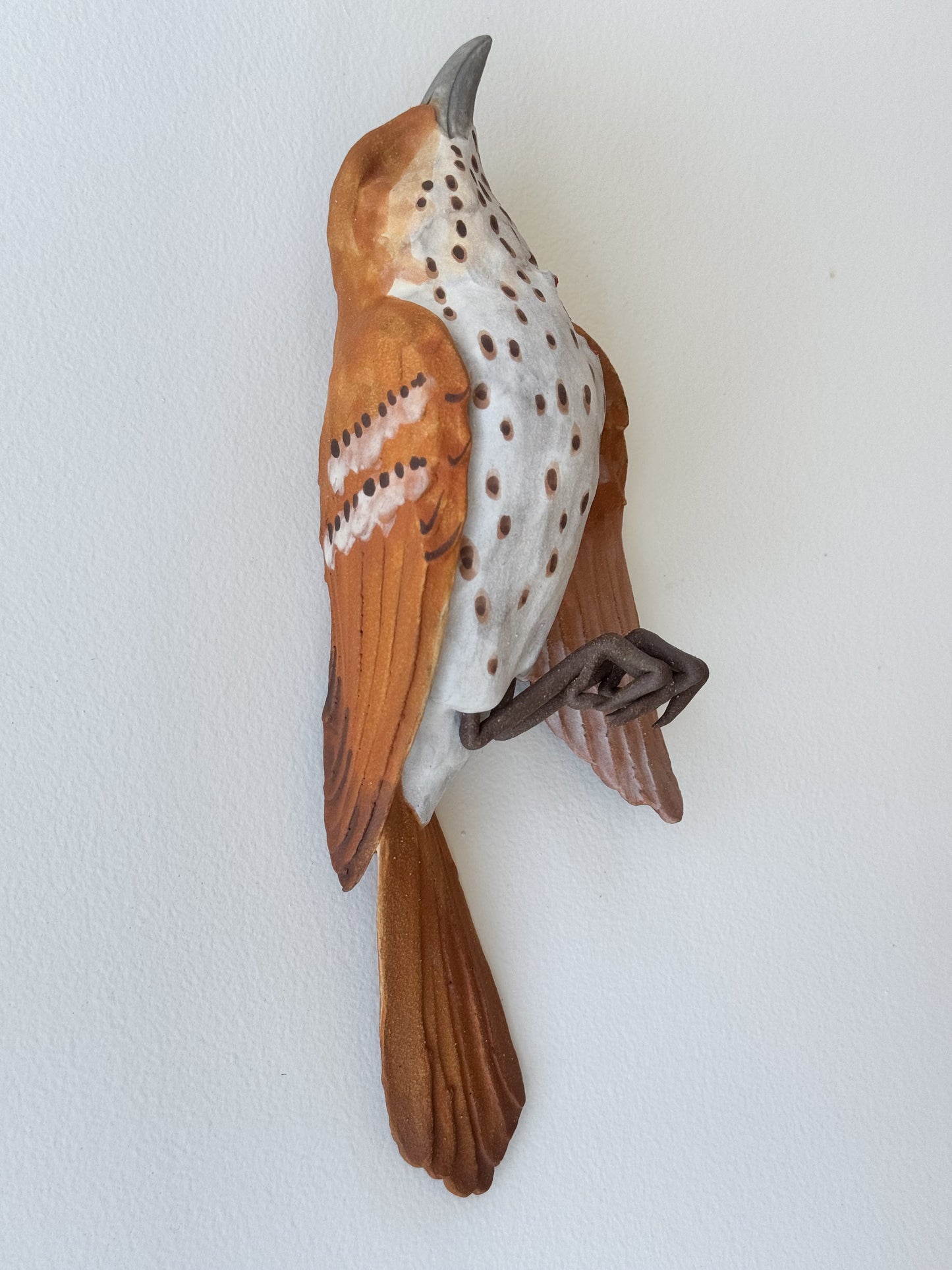 Brown Thrasher Wall Bud-Vase