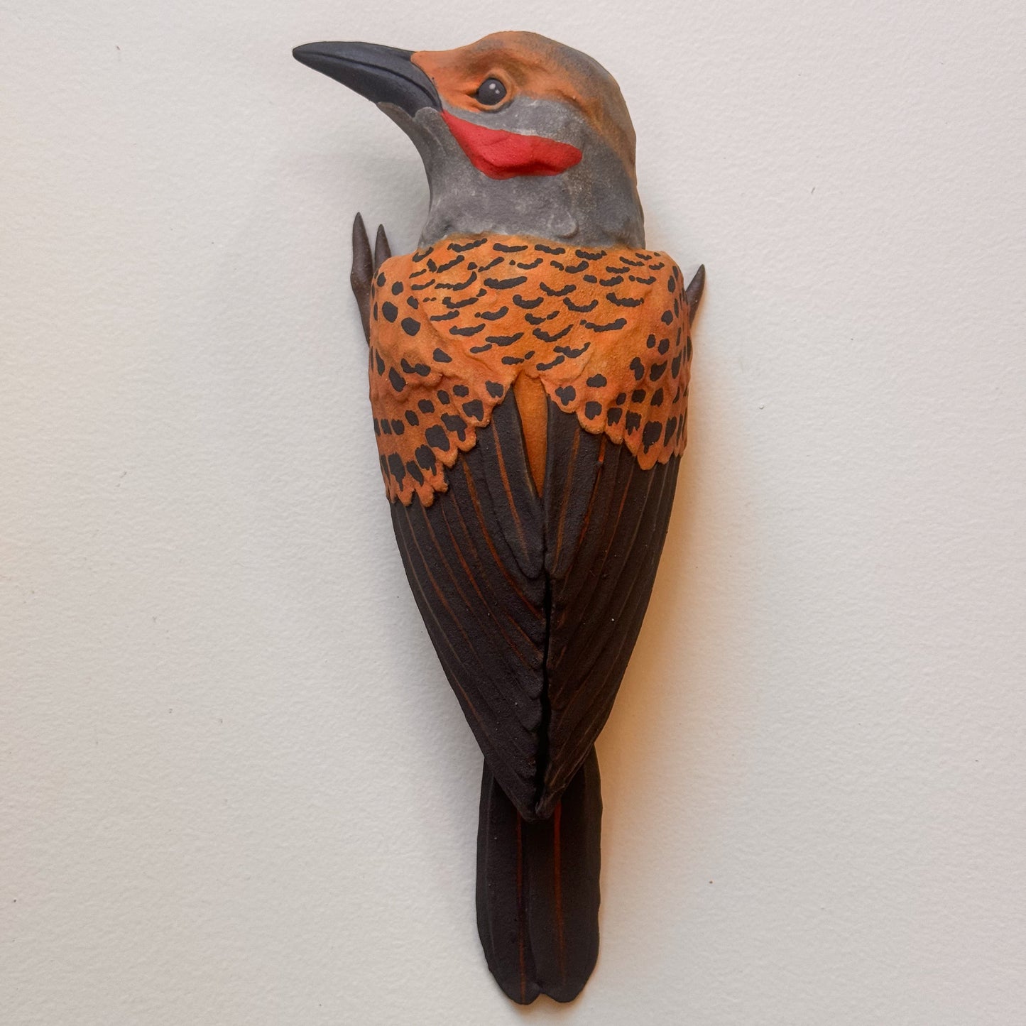 Northern Flicker wall climber