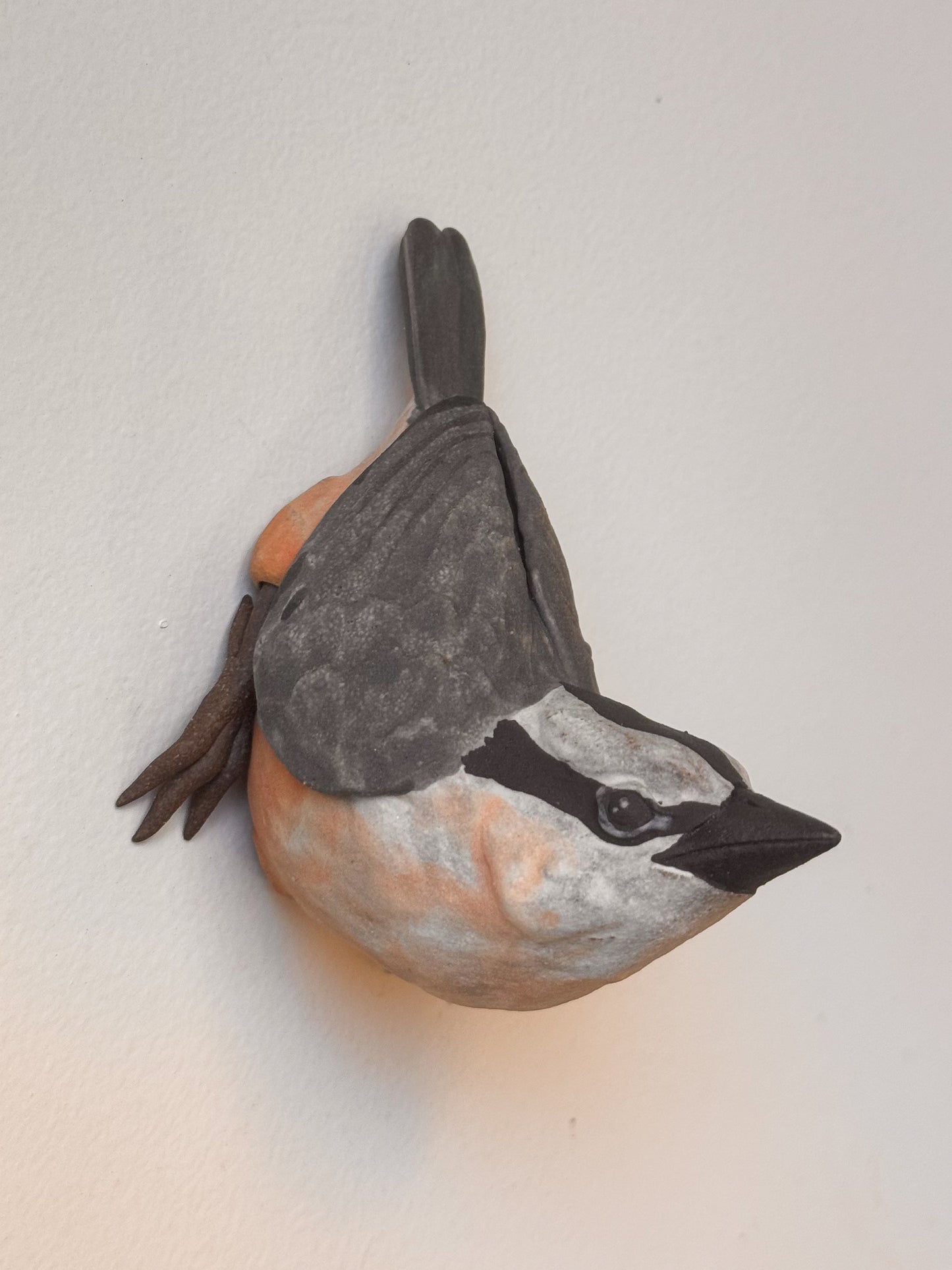 Red-breasted Nuthatch wall climber