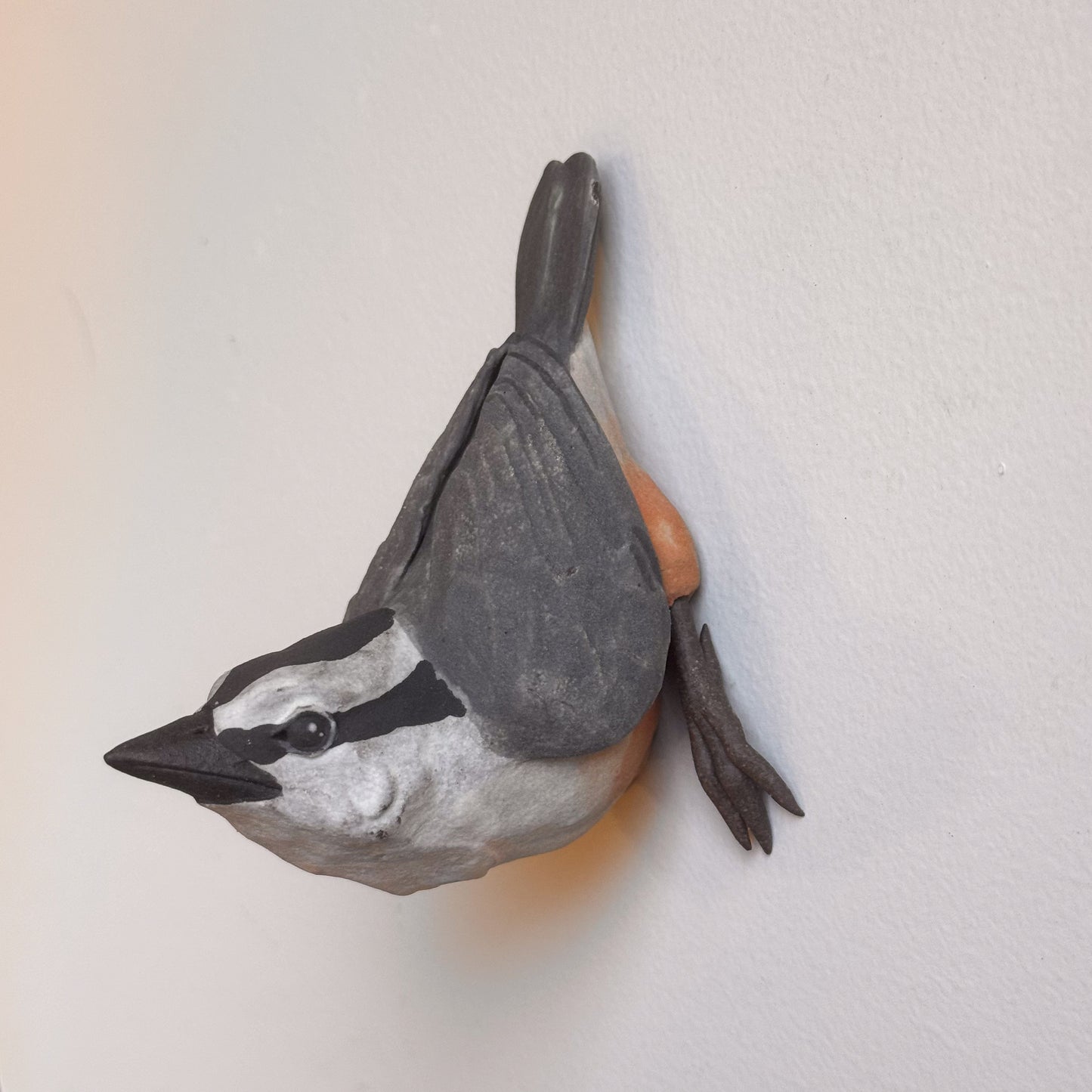 Red-breasted Nuthatch wall climber