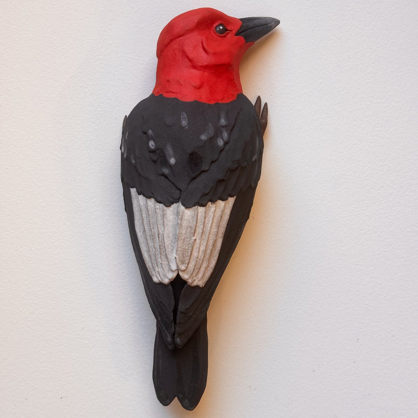 Red-headed Woodpecker wall climber