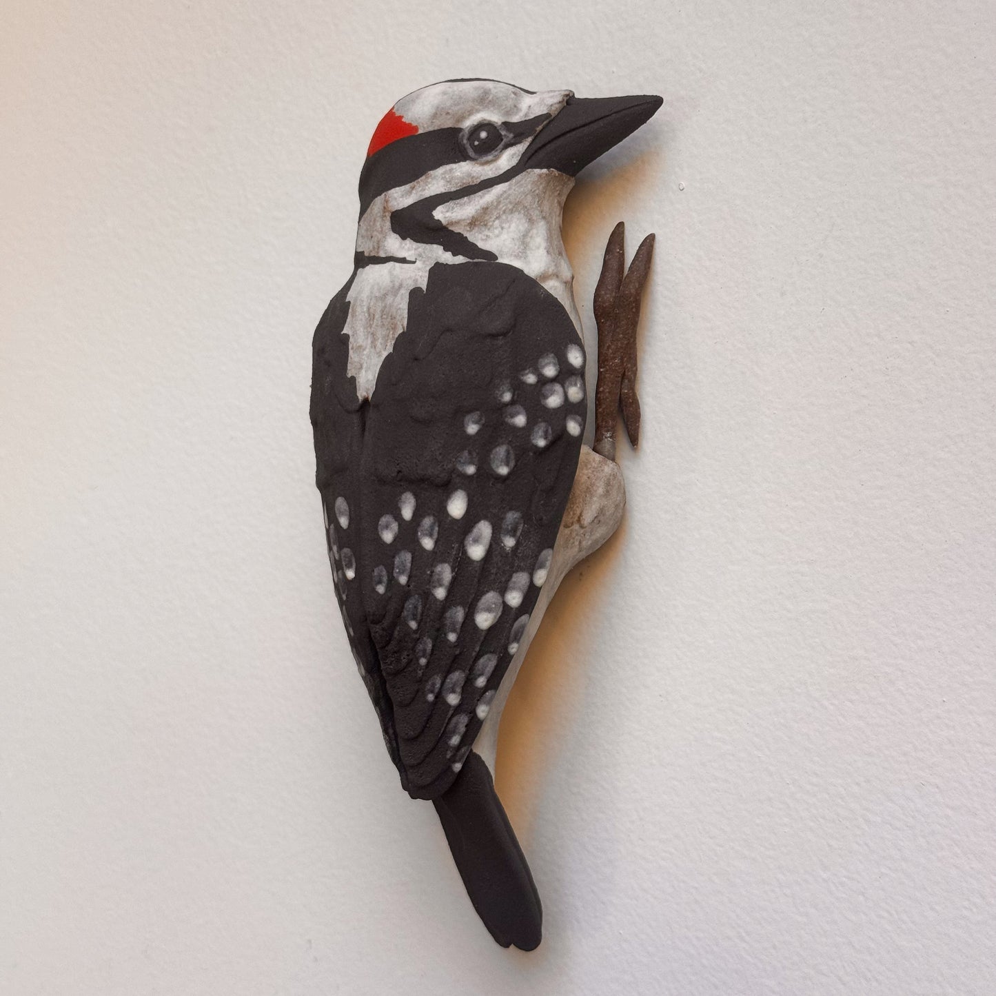 Hairy Woodpecker wall climber