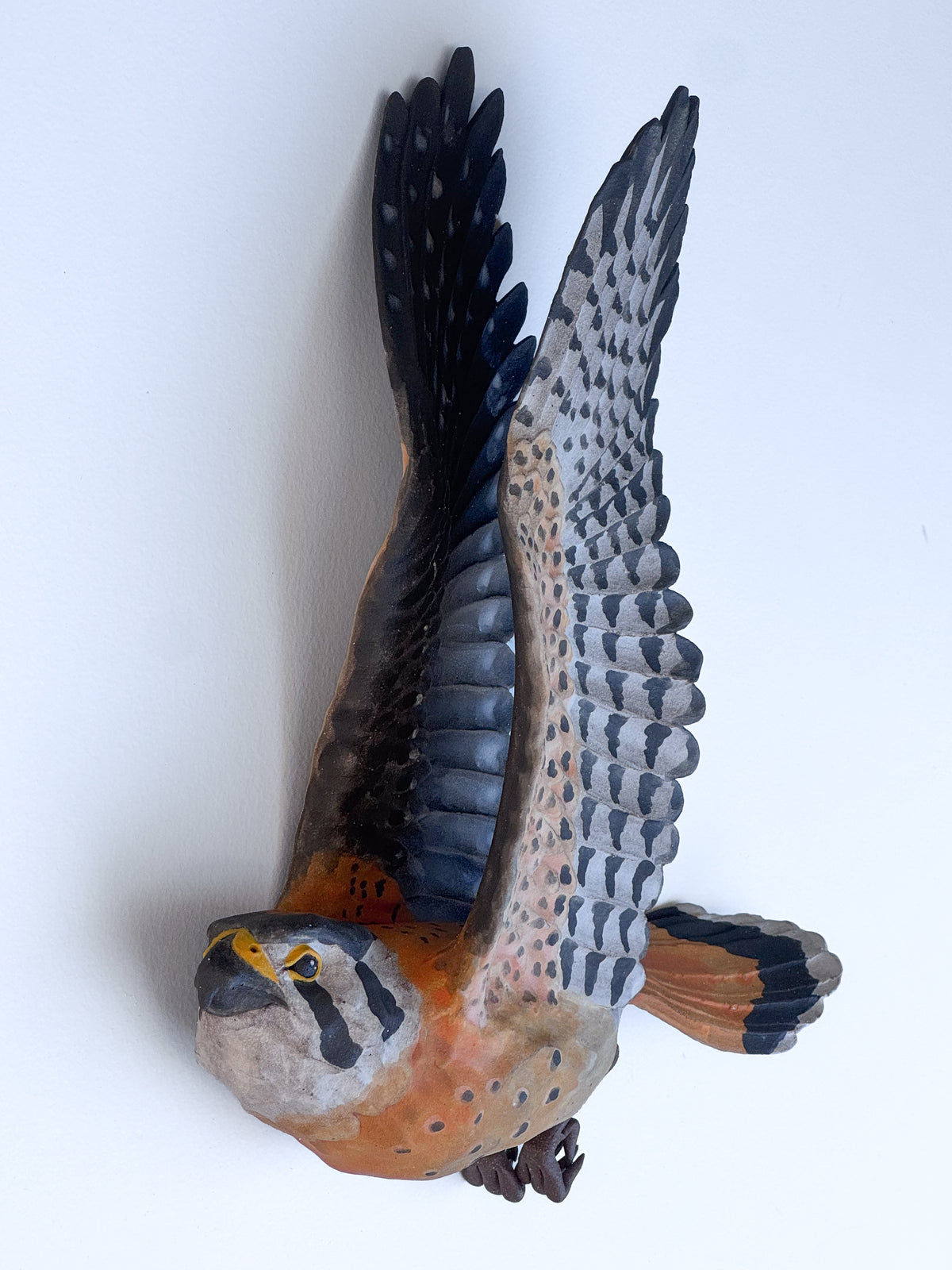 American Kestrel in flight