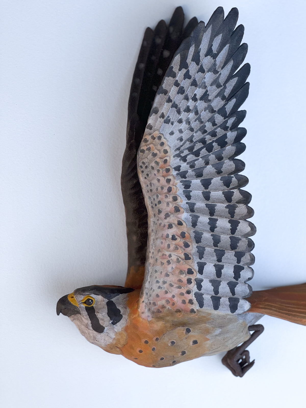 American Kestrel in flight