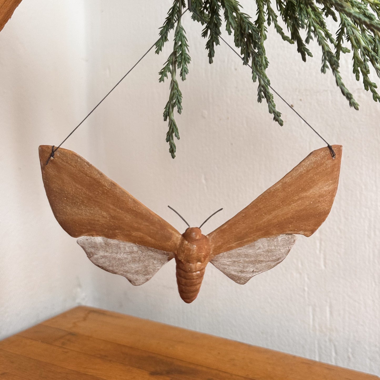 White-Lined Sphinx Moth Ornament