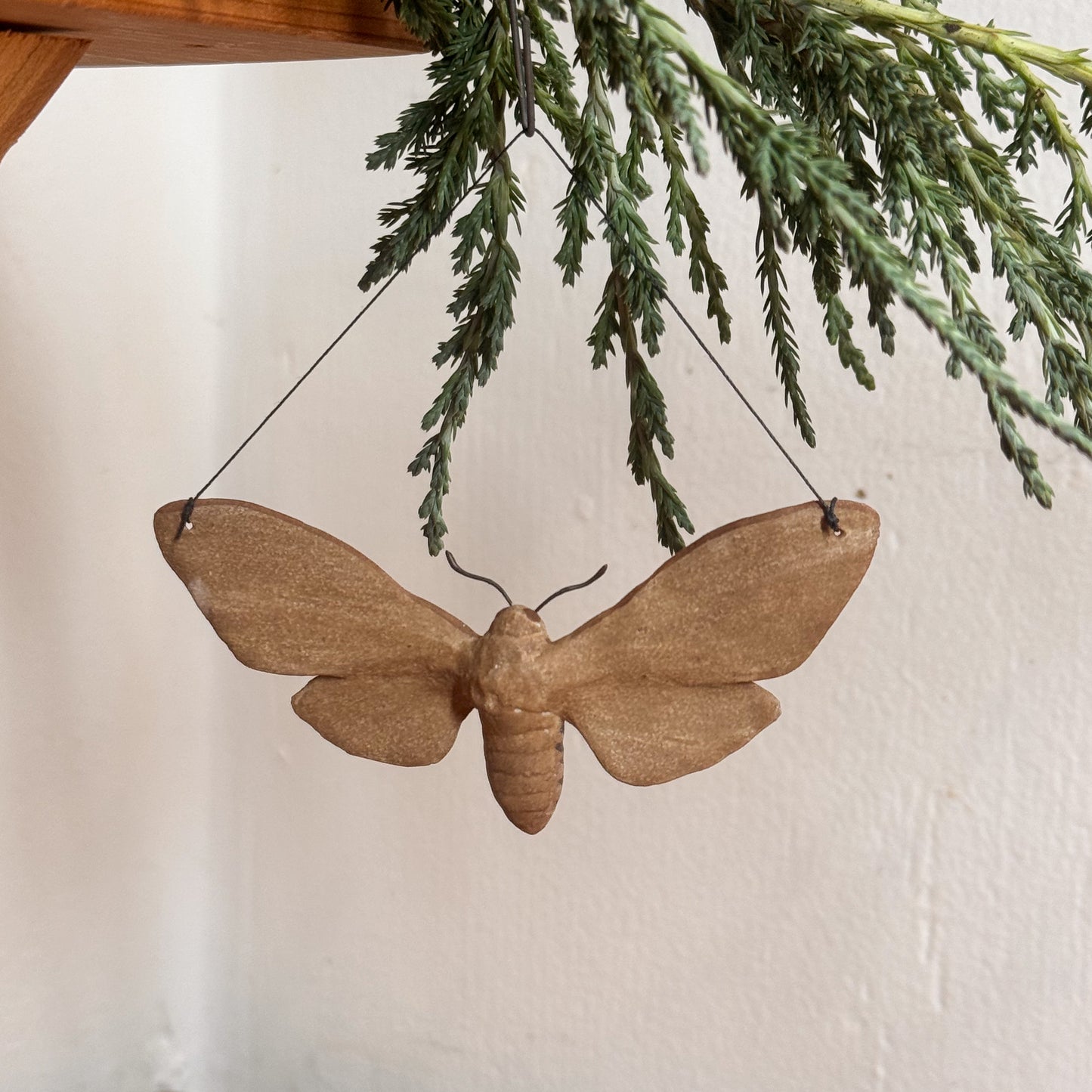 Vashti Sphinx Moth Ornament