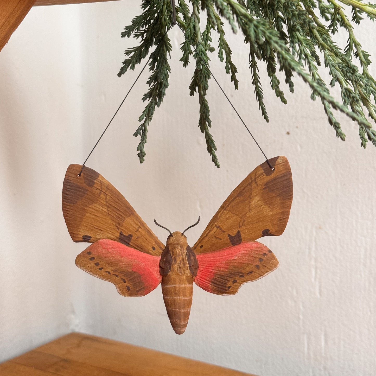 Achemon Sphinx Moth Ornament