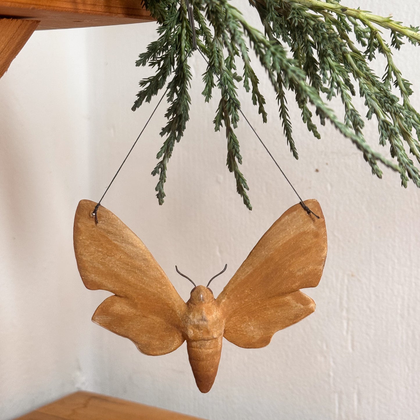 Achemon Sphinx Moth Ornament