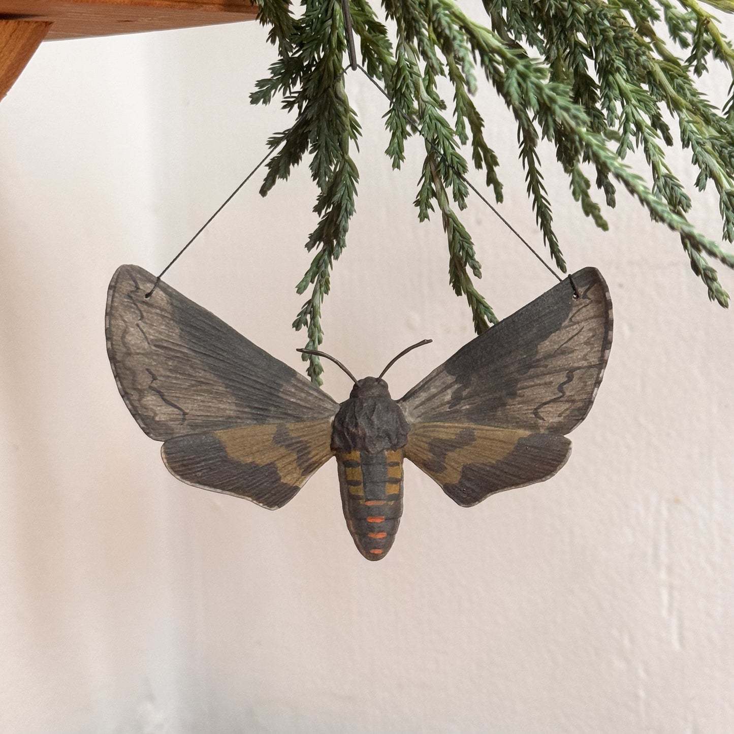 Apple Sphinx Moth Ornament (large)