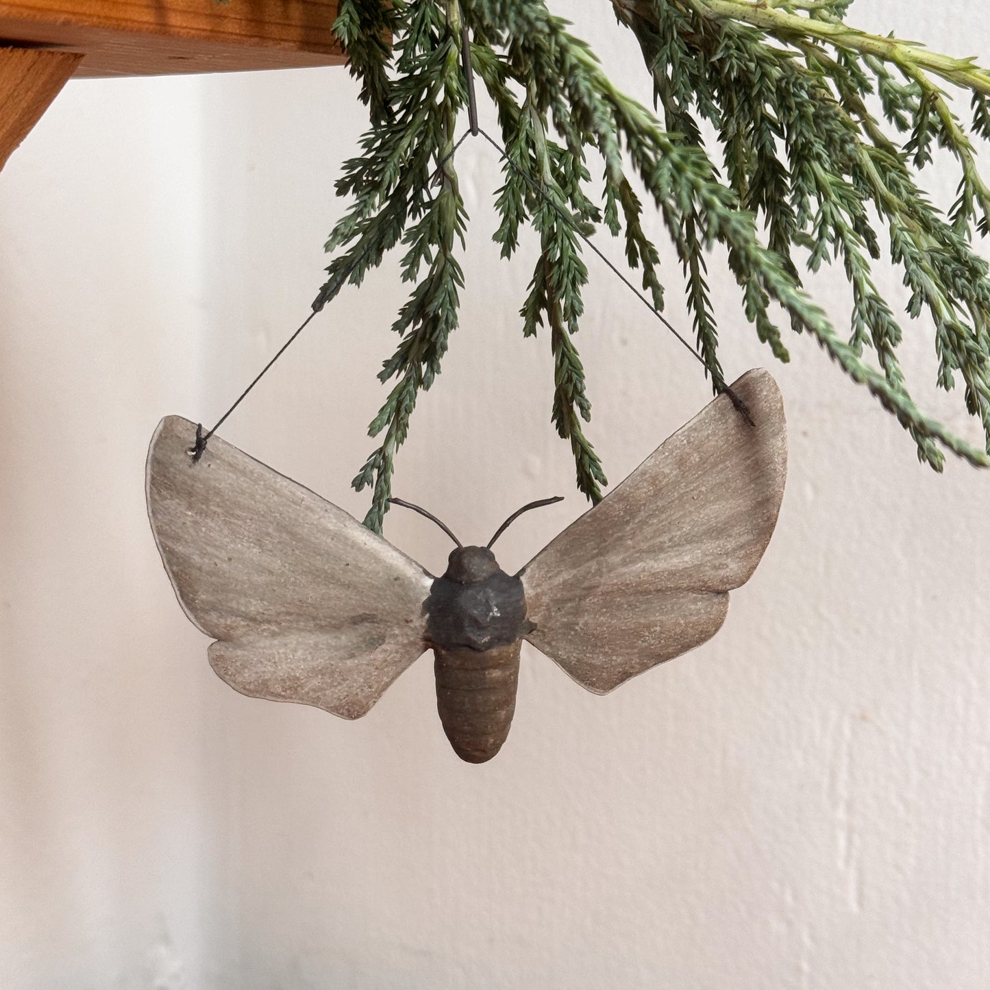 Apple Sphinx Moth Ornament (large)