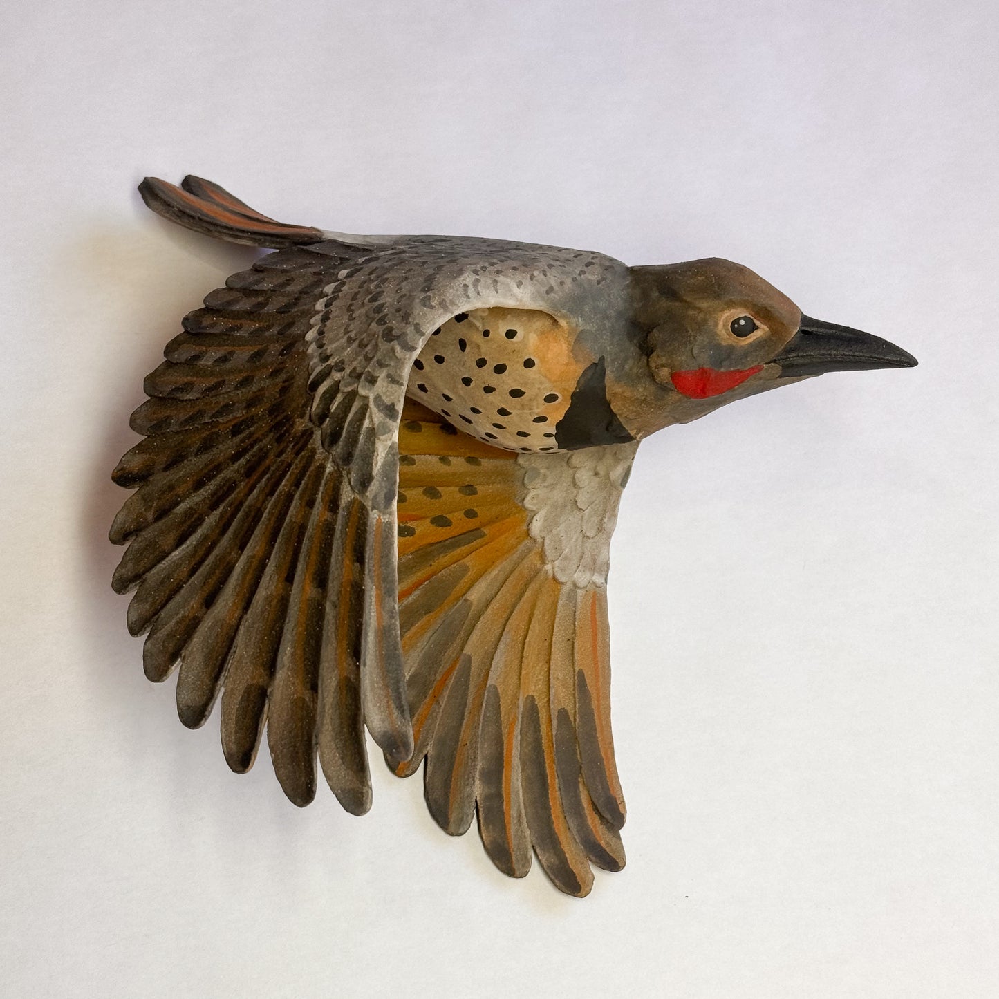 Red-Shafted Northern Flicker in flight