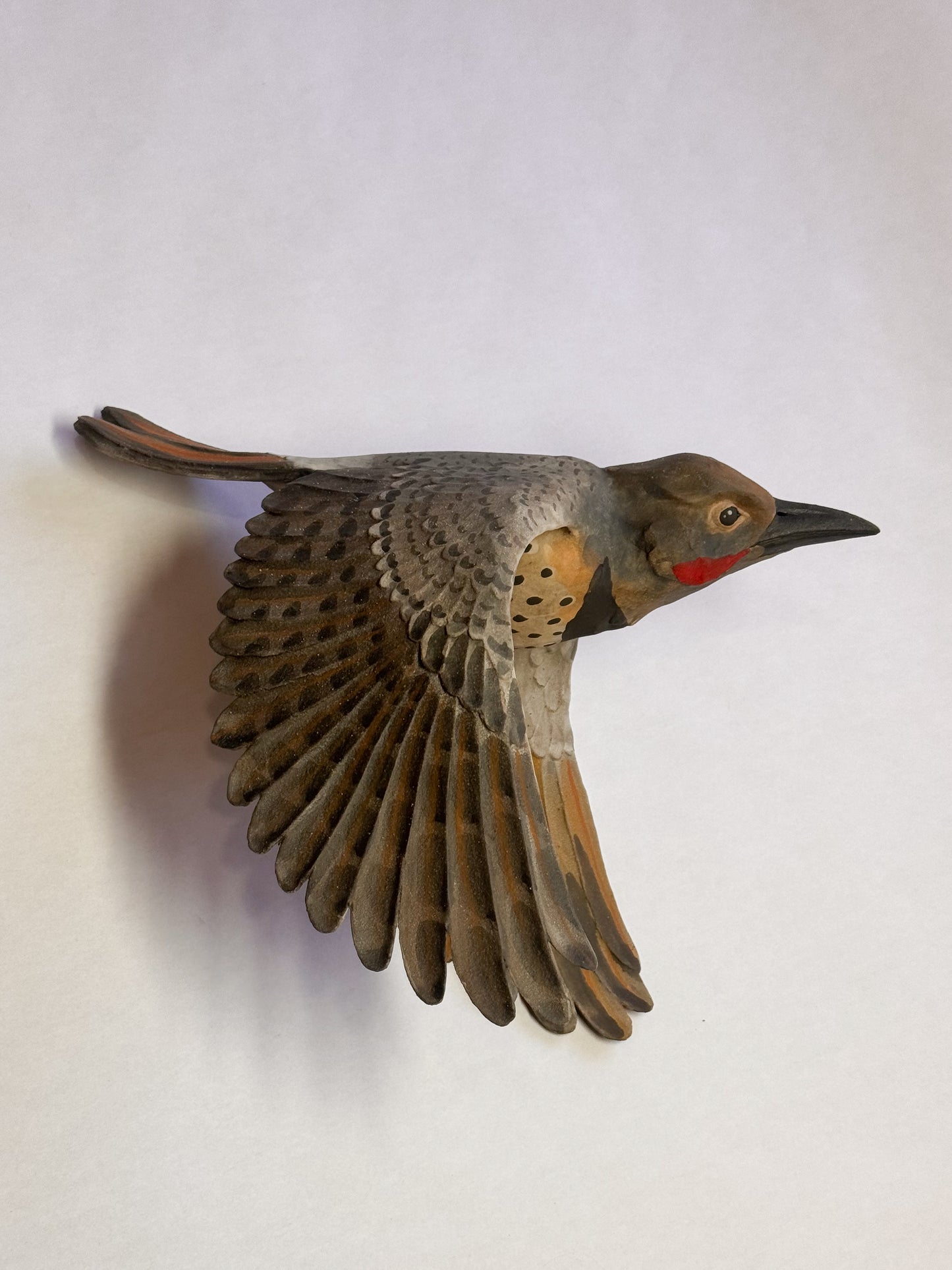 Red-Shafted Northern Flicker in flight