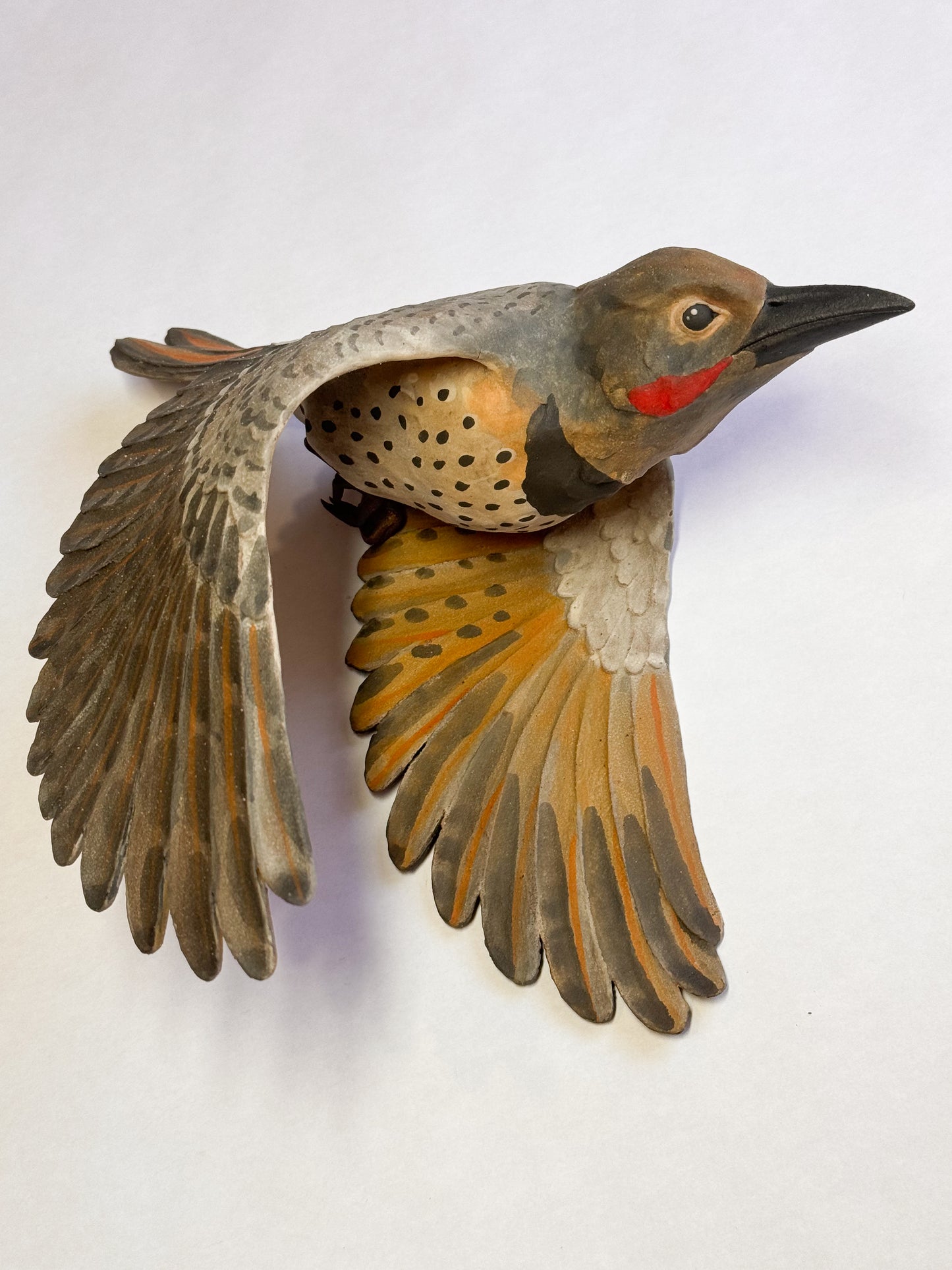 Red-Shafted Northern Flicker in flight